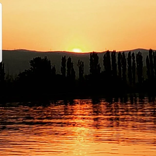 Paradise sunsets 🌅🏖