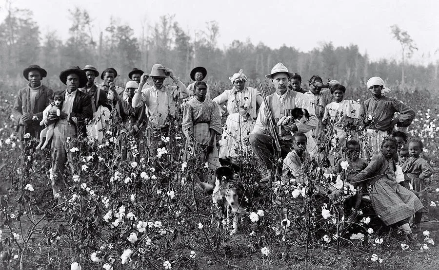 King Cotton — Hamilton Mobley