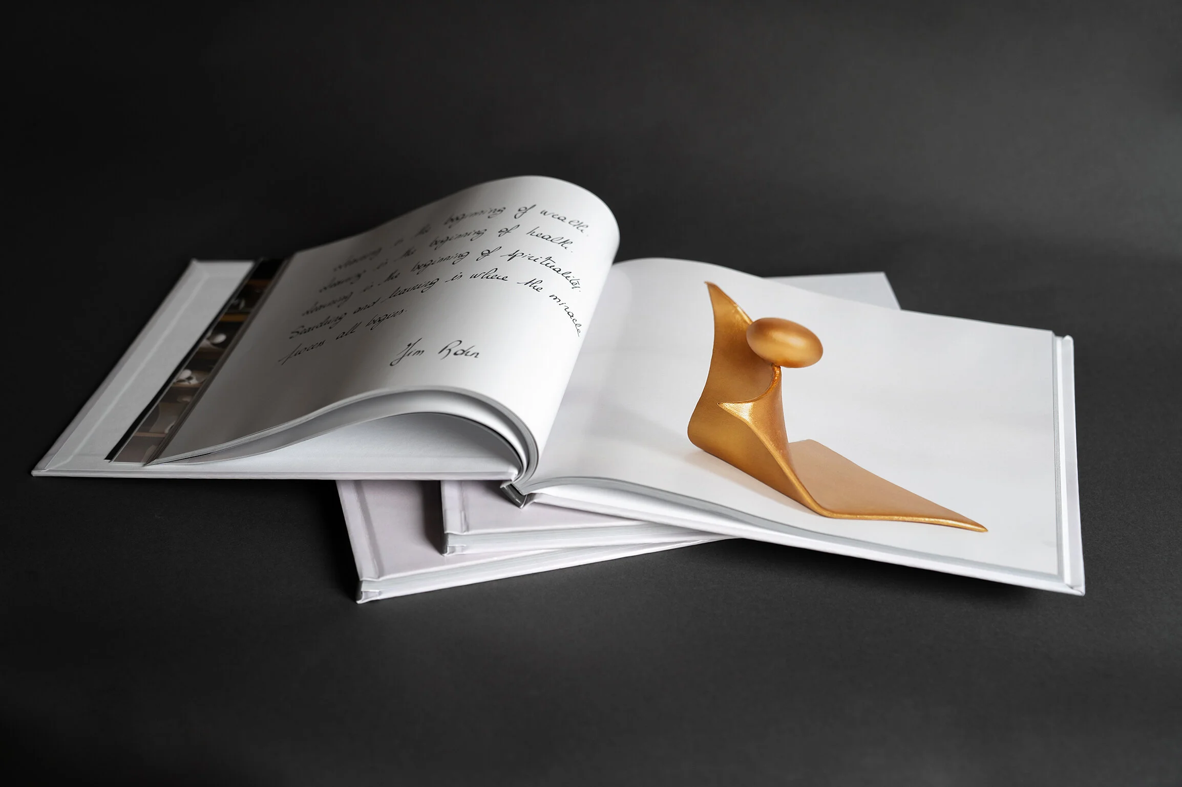 LivenLuLu Book 3.JPG