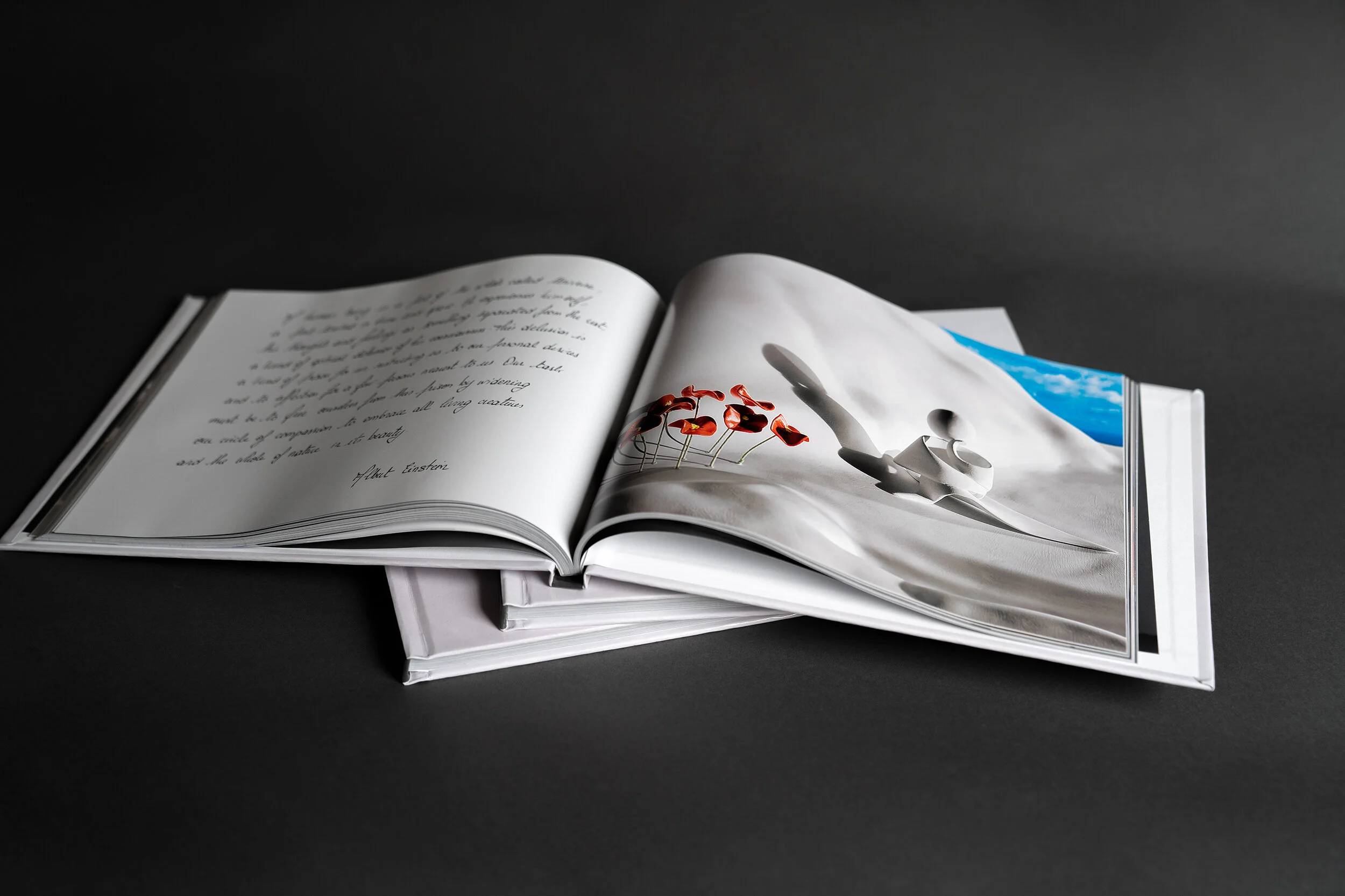 LivenLuLu Book 4.JPG
