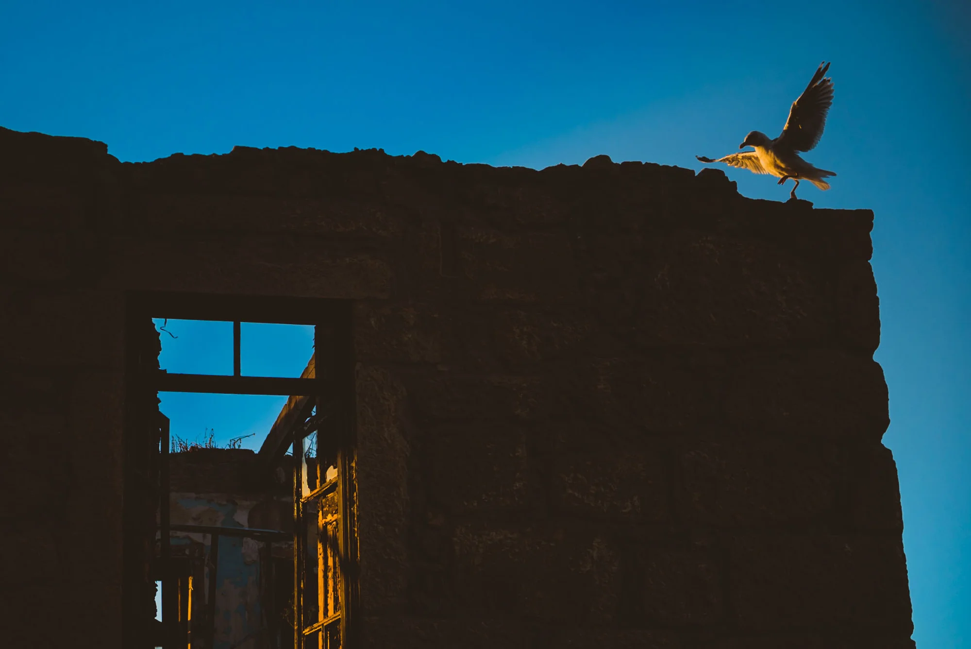  Tardes Portuguesas #06 