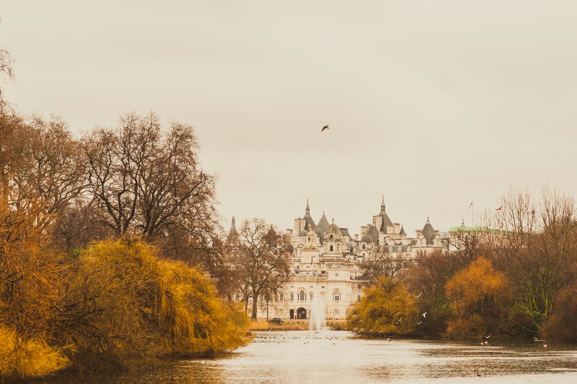 orange_london.JPG