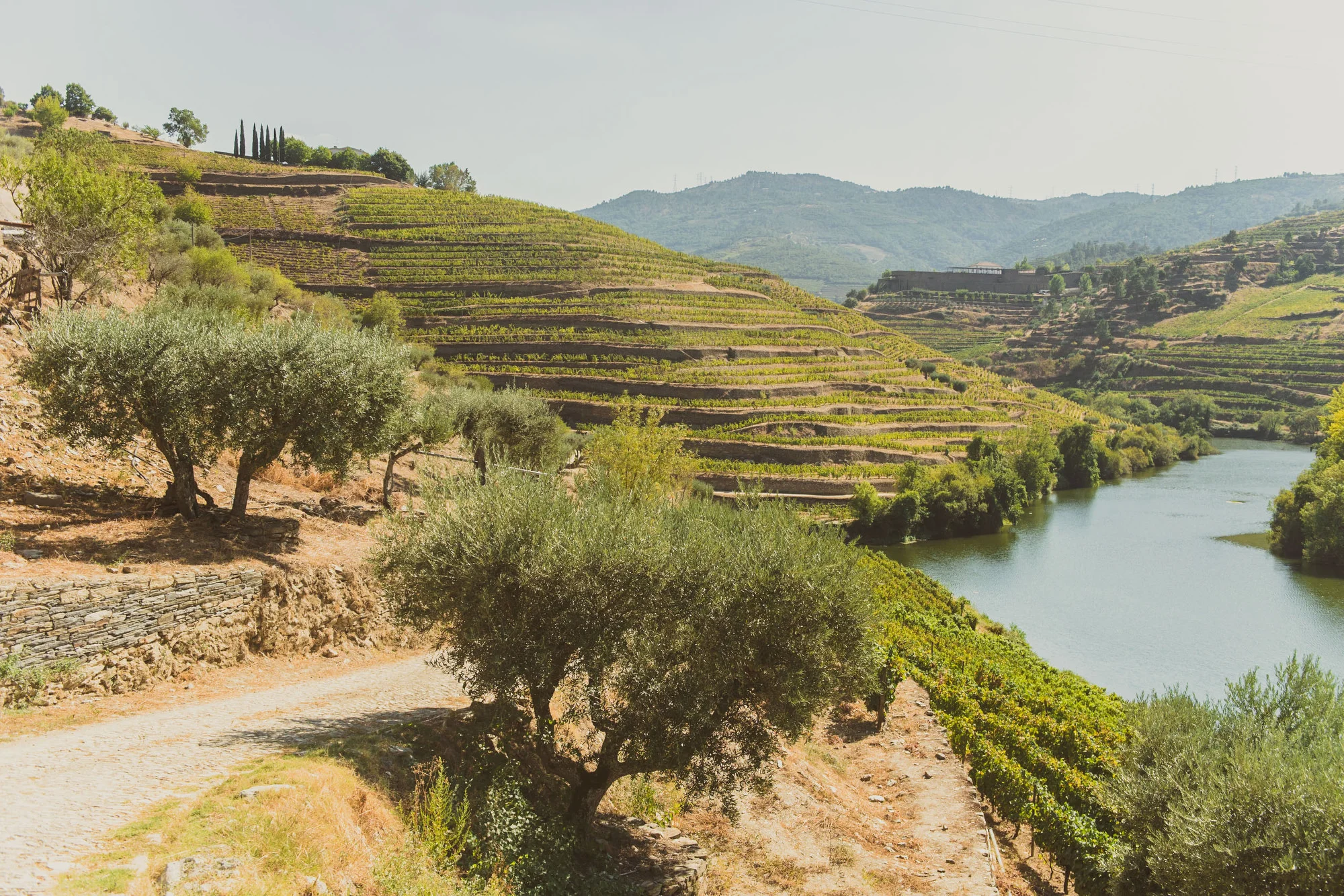 quinta_no_douro.JPG