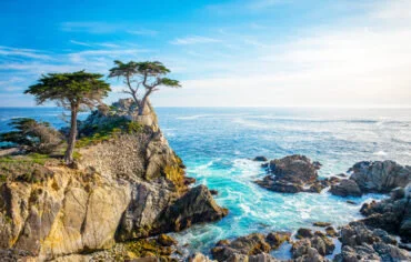 Law Firm Leaders Forum: Where We’re Headed Now