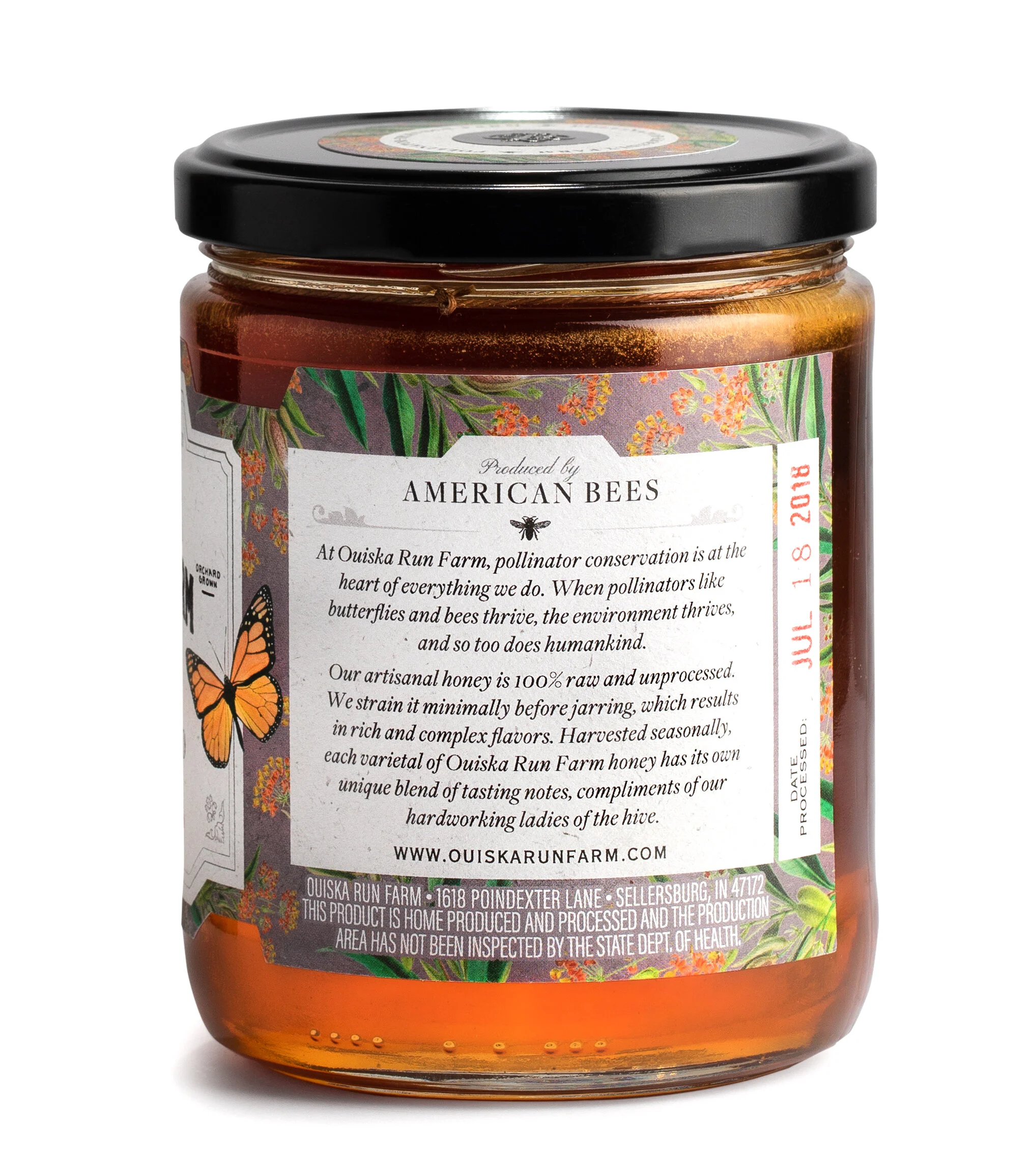 Milkweed WebBck.jpg