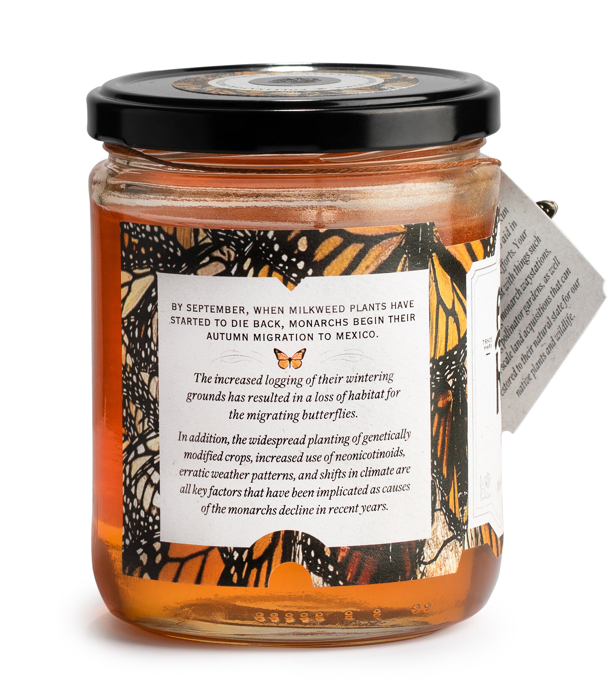 Meh He Ko WebSde.jpg