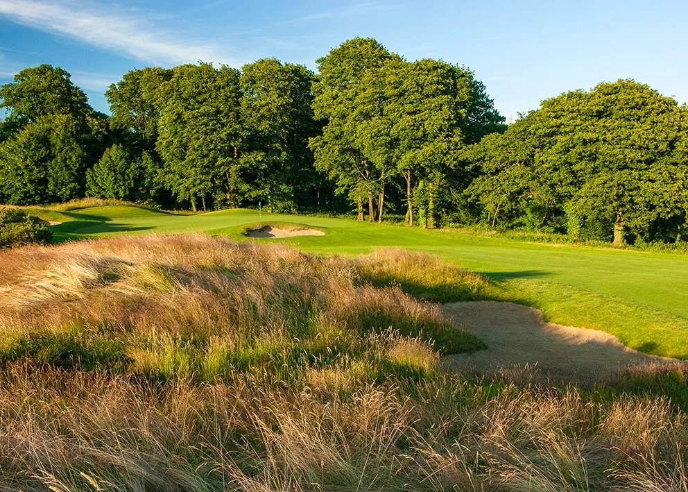 A golf course with a putting green and sand bunker, surrounded by tall grass and lush trees under a blue sky.