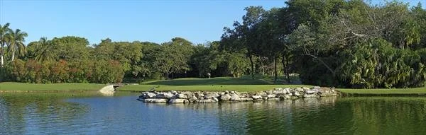 A scenic golf course with a water hazard and a stone barrier, surrounded by lush green trees under a clear blue sky.