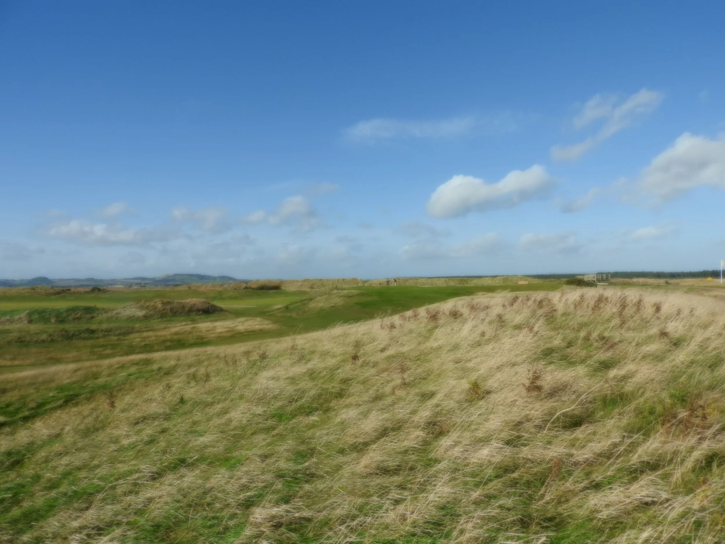 Open grassland with rolling hills, patches of green and brown, under a bright blue sky with scattered clouds.
