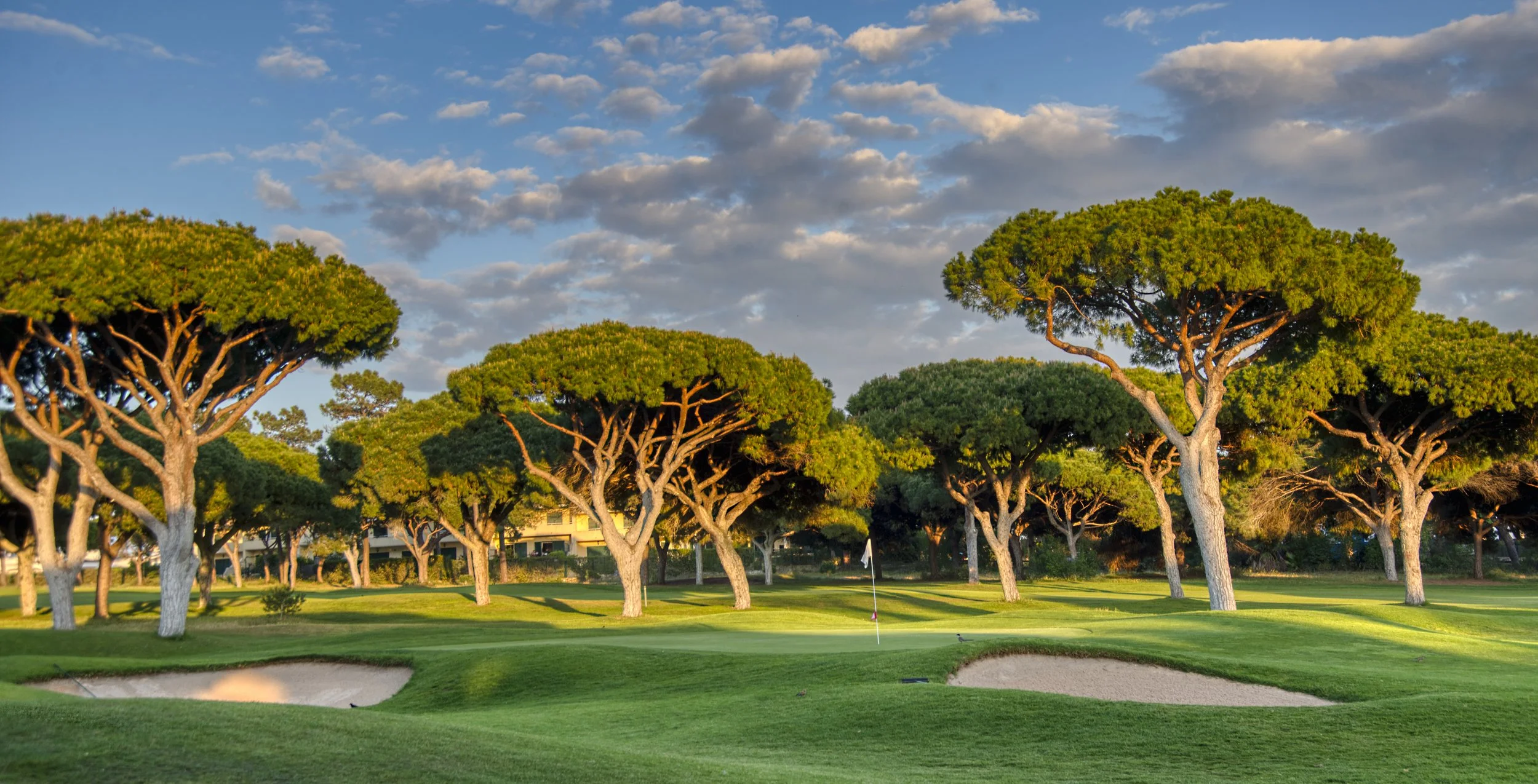 Pinhal 5th Hole