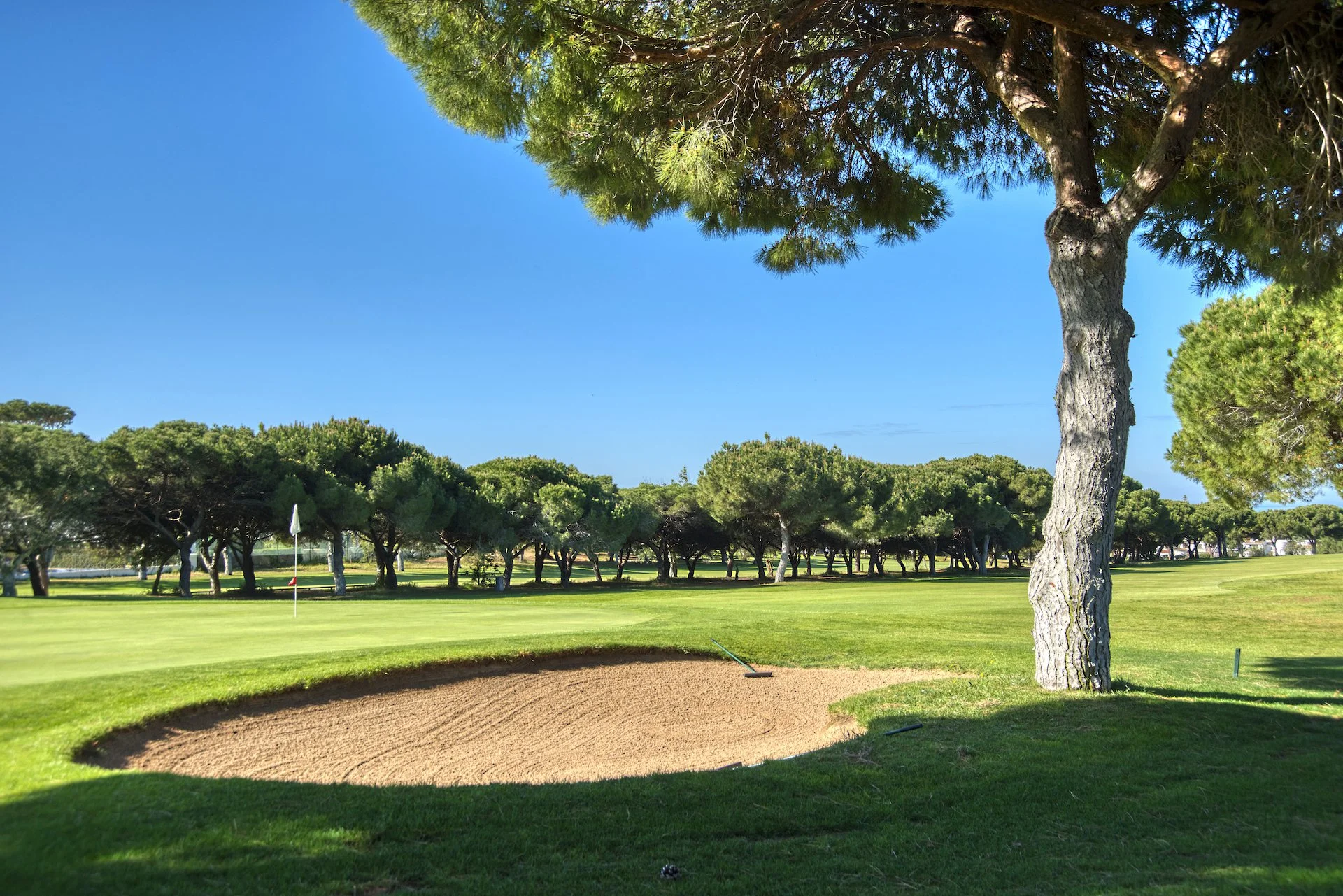 Pinhal 17th Hole