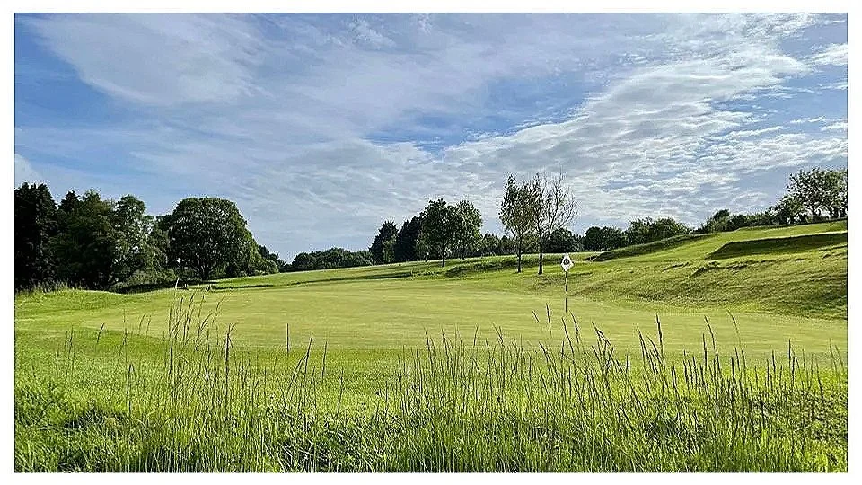 A golf course with a green and a flagstick, surrounded by grass, trees, and a partly cloudy sky.