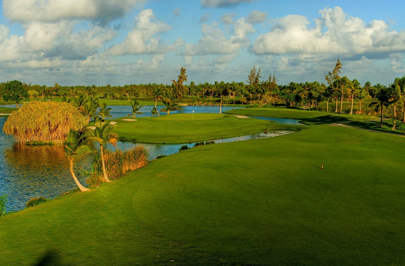 A lush golf course with palm trees, water features, and a green with a hole marker under a partly cloudy sky.