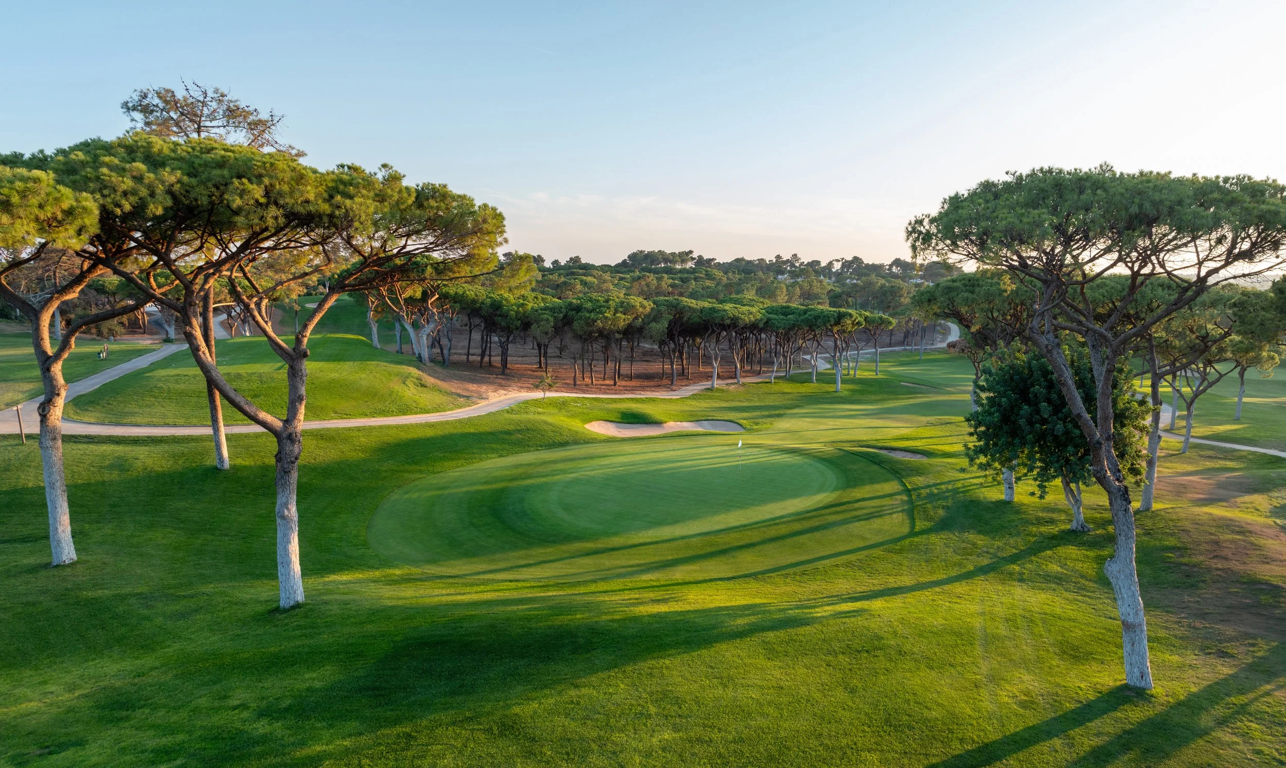The stunning risk-reward 9th hole at The Old Course Vilamoura. Bathed in golden sunlight and framed by majestic umbrella pines, this immaculate green perfectly captures the beauty of our Algarve golf retreats.