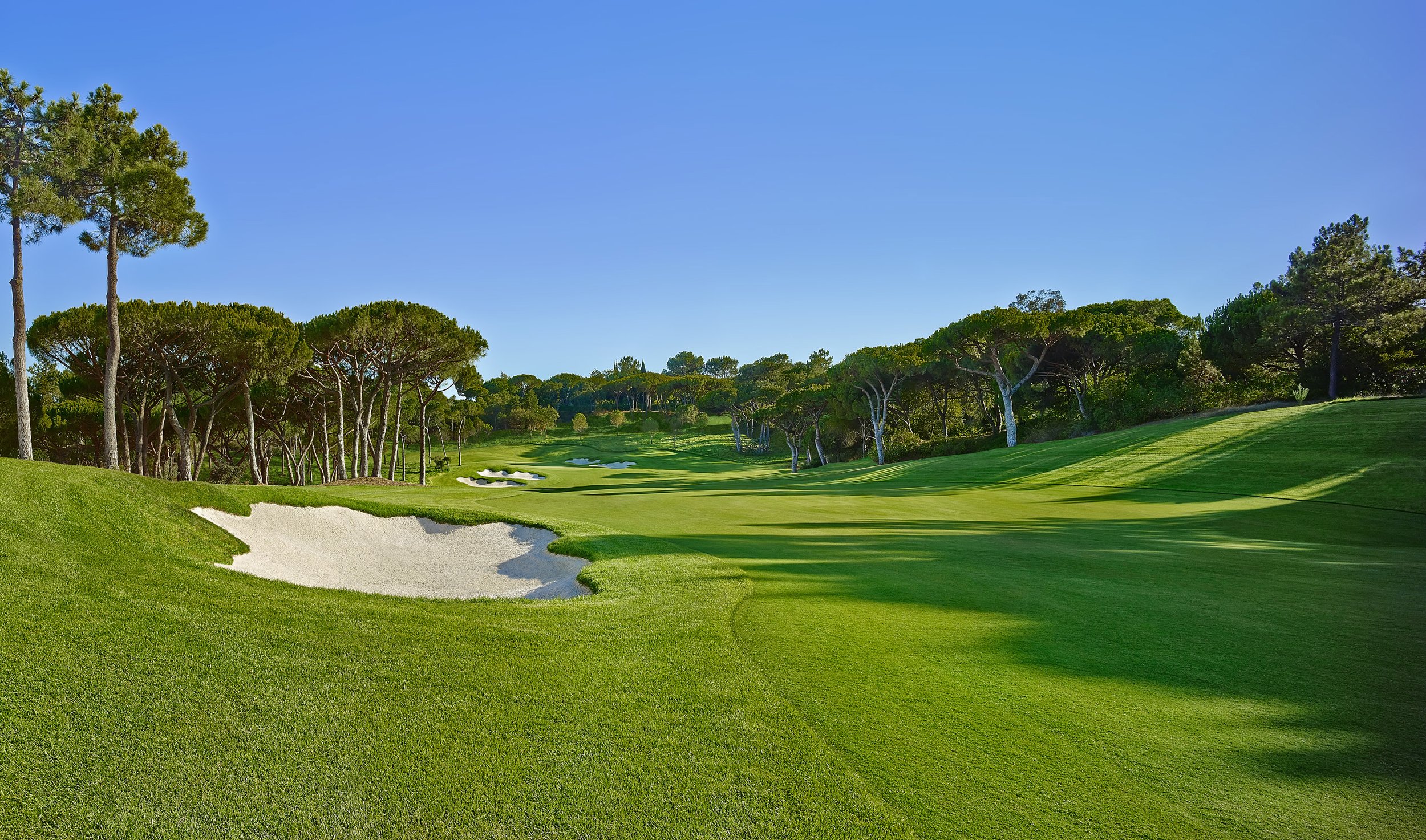 A photograph of a pristine view of a hole on the Quinta do Lago North Course, showing a lush, green fairway, a large sand bunker in the left foreground, and many mature Portuguese stone pines under a clear blue sky.