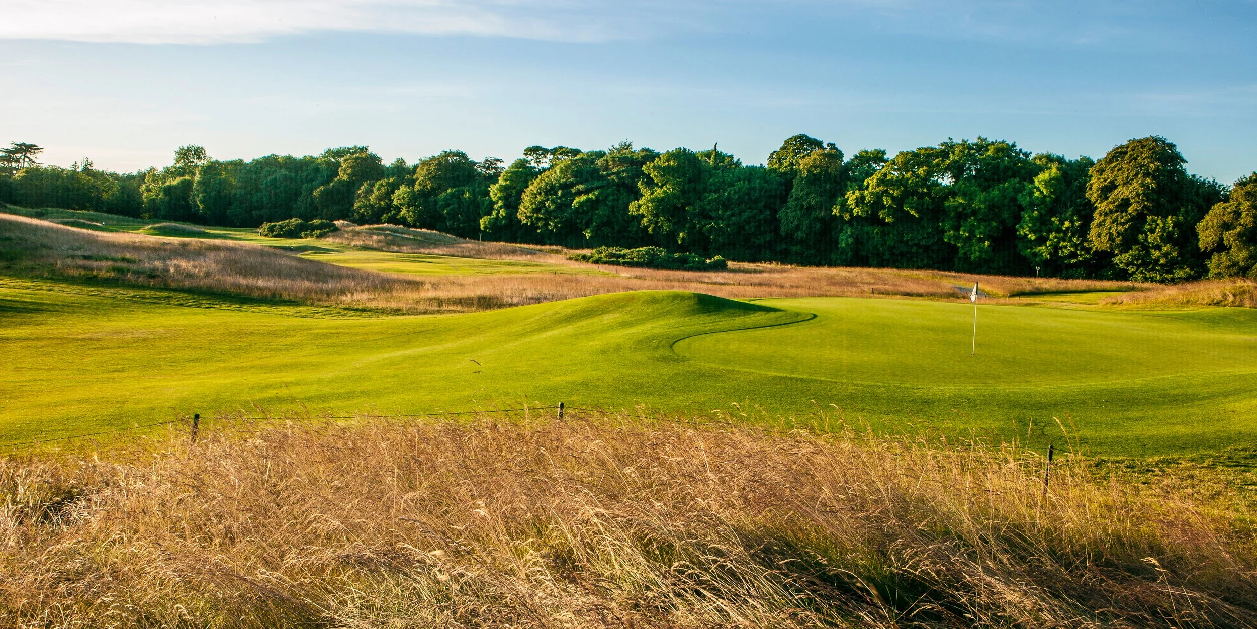 A golf course with lush green grass, a flag on the green, and surrounded by trees and dry grass under a clear sky.