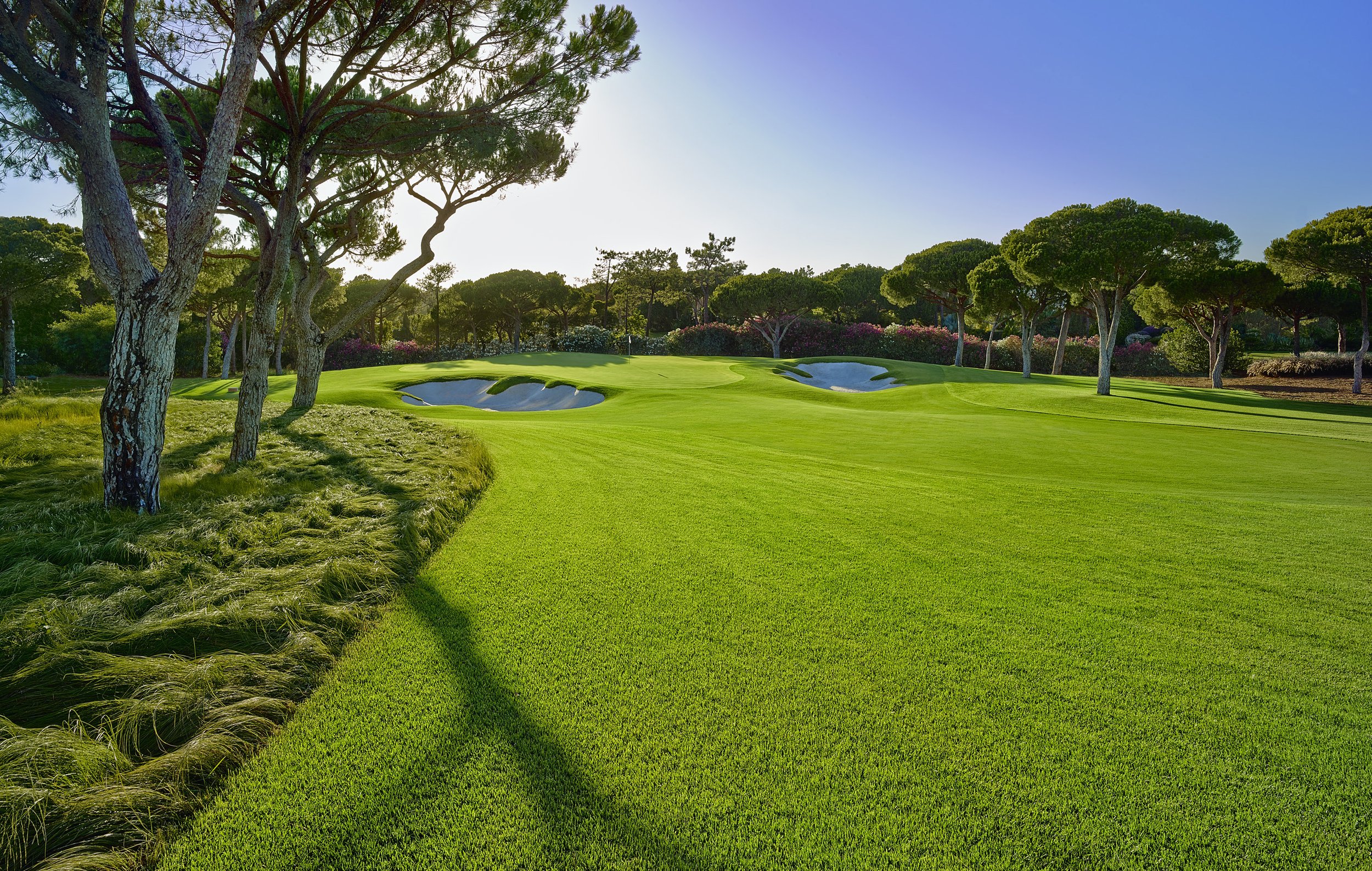 A scenic golf course with well-maintained green grass, sand bunkers, and tall trees under a clear blue sky.