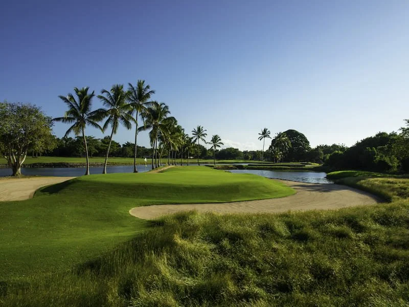 Scenic golf course with lush green grass, palm trees, sand traps, water hazards, and a clear blue sky