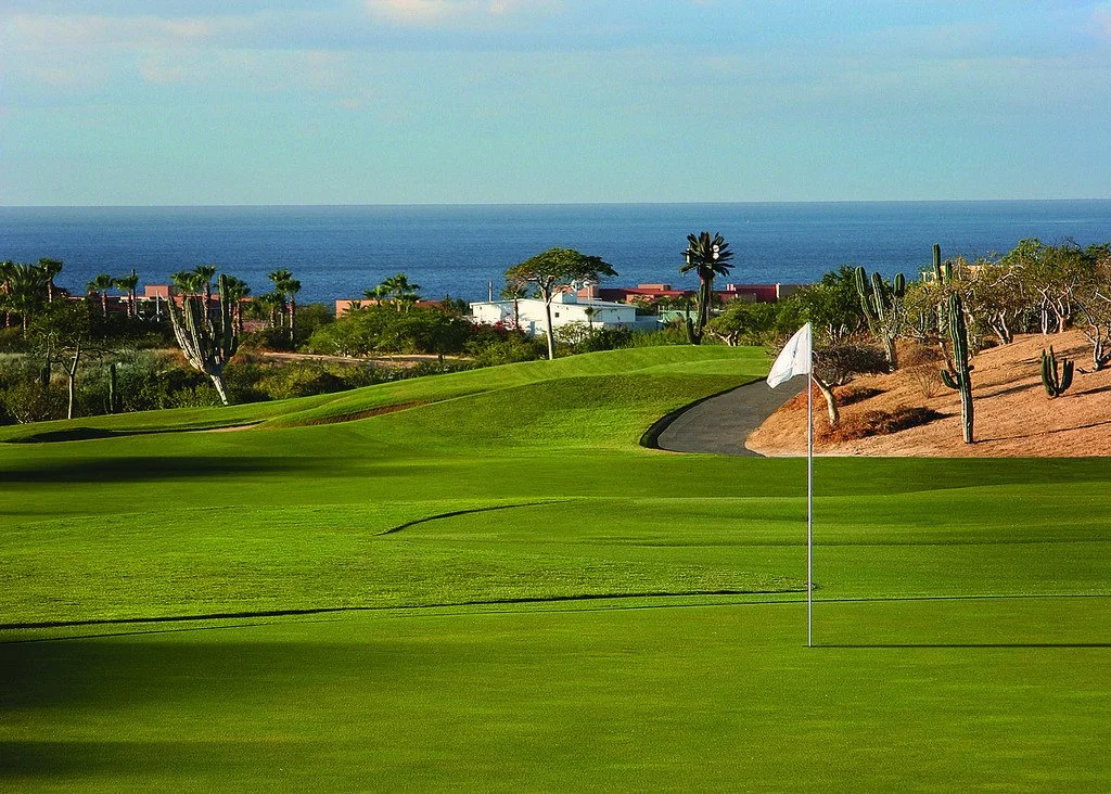 Golf course green with flag near the hole, landscaped with cacti and desert plants, overlooking the ocean with residential buildings in the background.