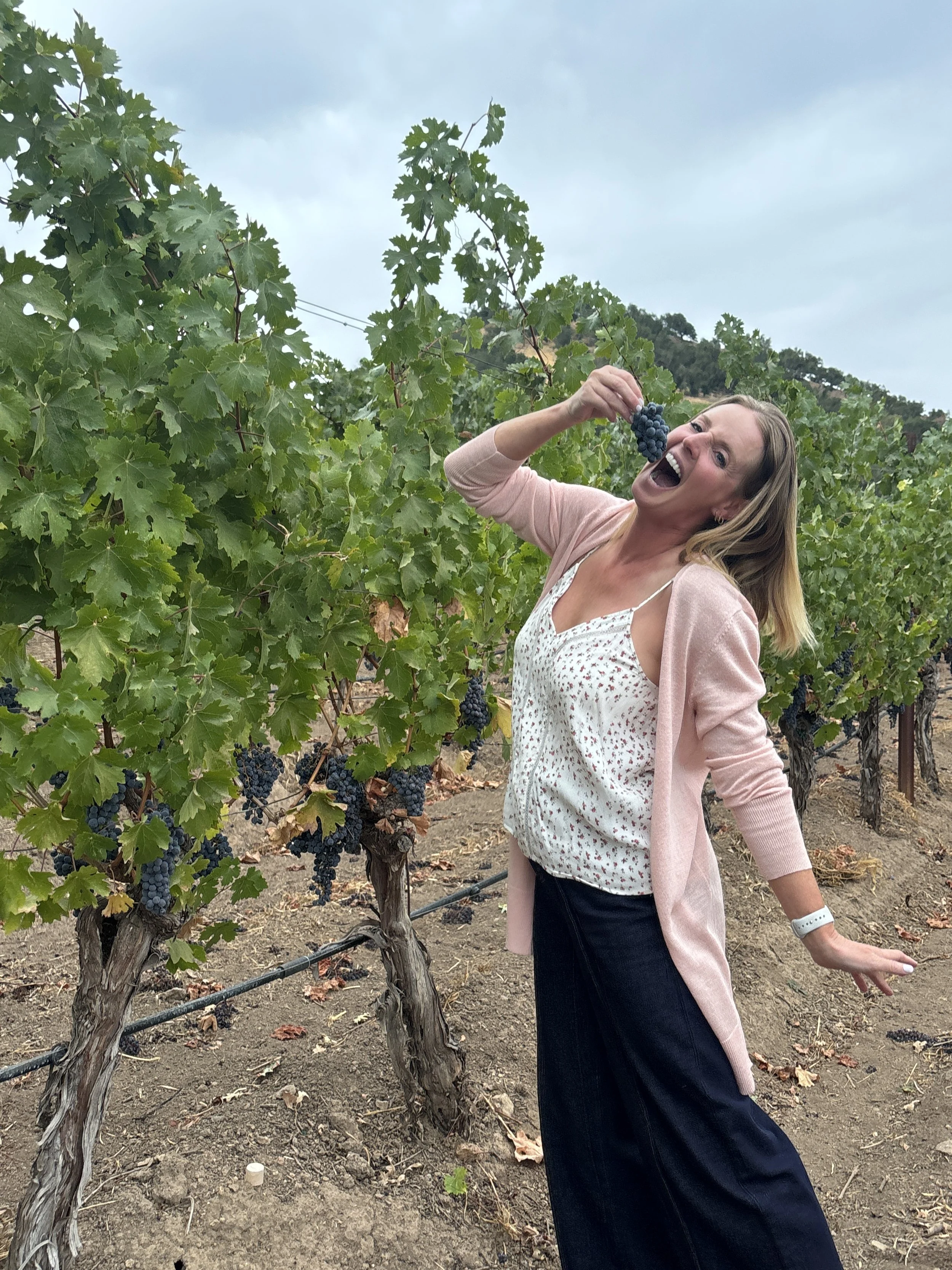 A woman in a pink cardigan and black pants holding a bunch of grapes over her mouth in a vineyard with green grapevines and hills in the background.