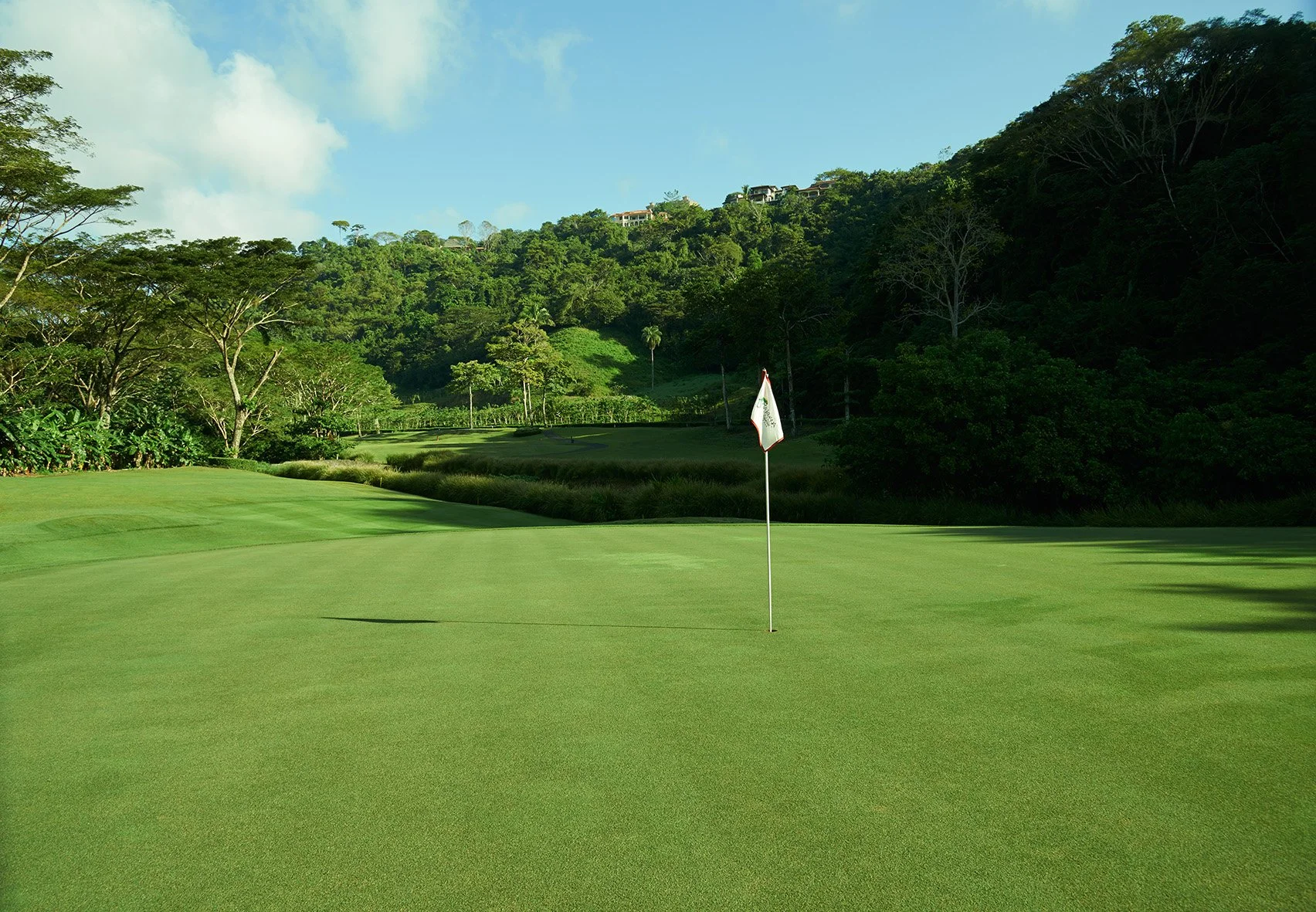 A golf course green with a flagstick near the center, surrounded by lush trees and a hillside with houses in the distance under a blue sky with some clouds.