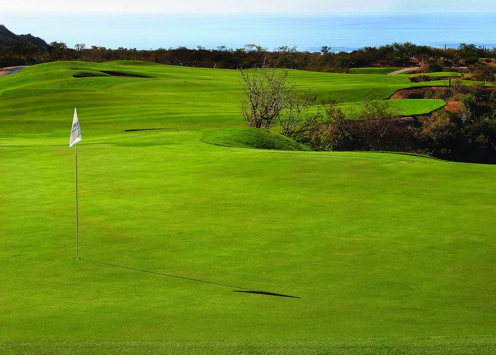 A golf course with a putting green and flag, rolling hills, trees, and a view of the ocean in the background.