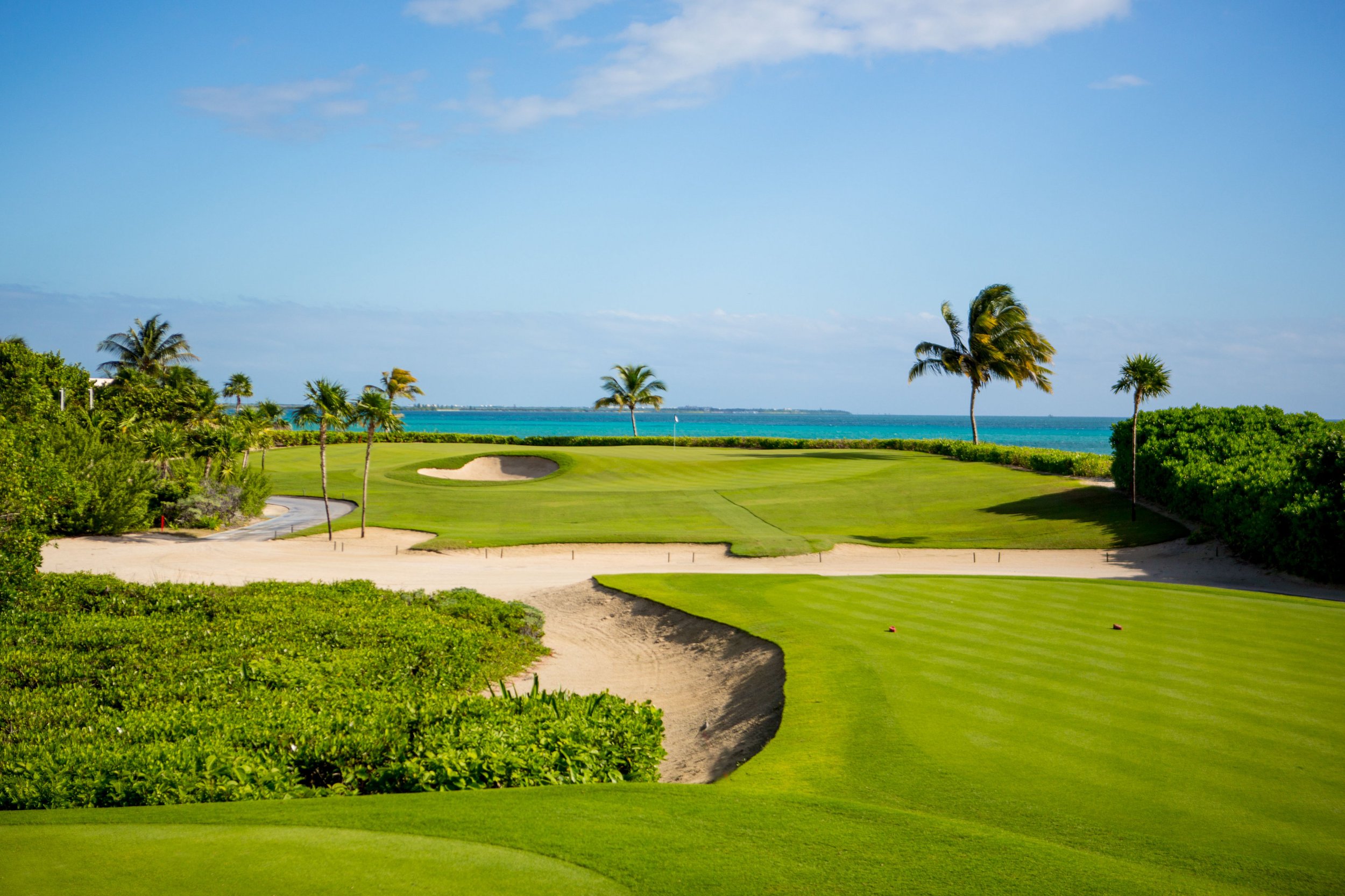 Scenic view of a golf course near the ocean with palm trees, sand bunkers, and a clear blue sky.