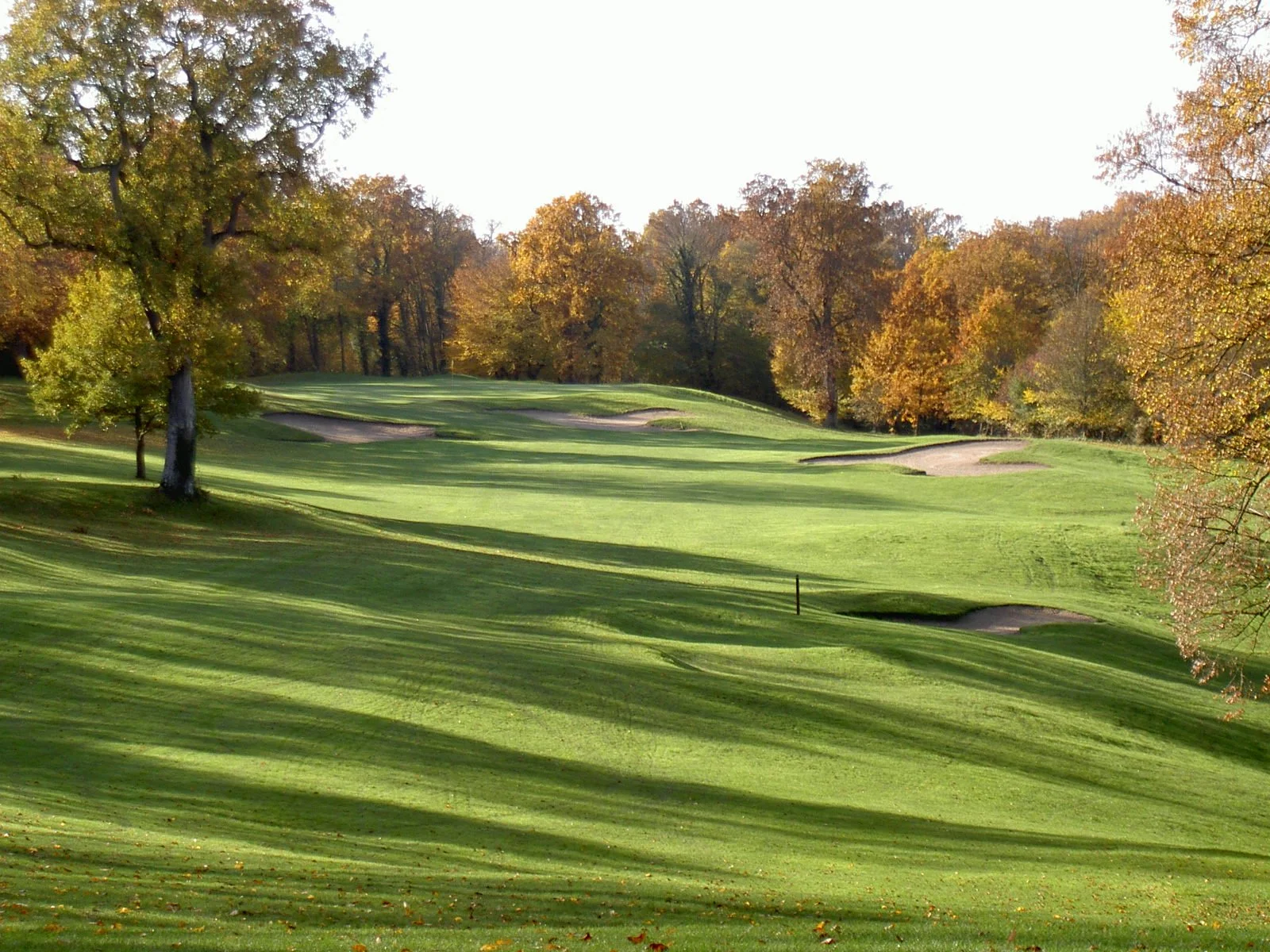 A golf course with a green fairway, sand bunkers, and trees with autumn-colored leaves.