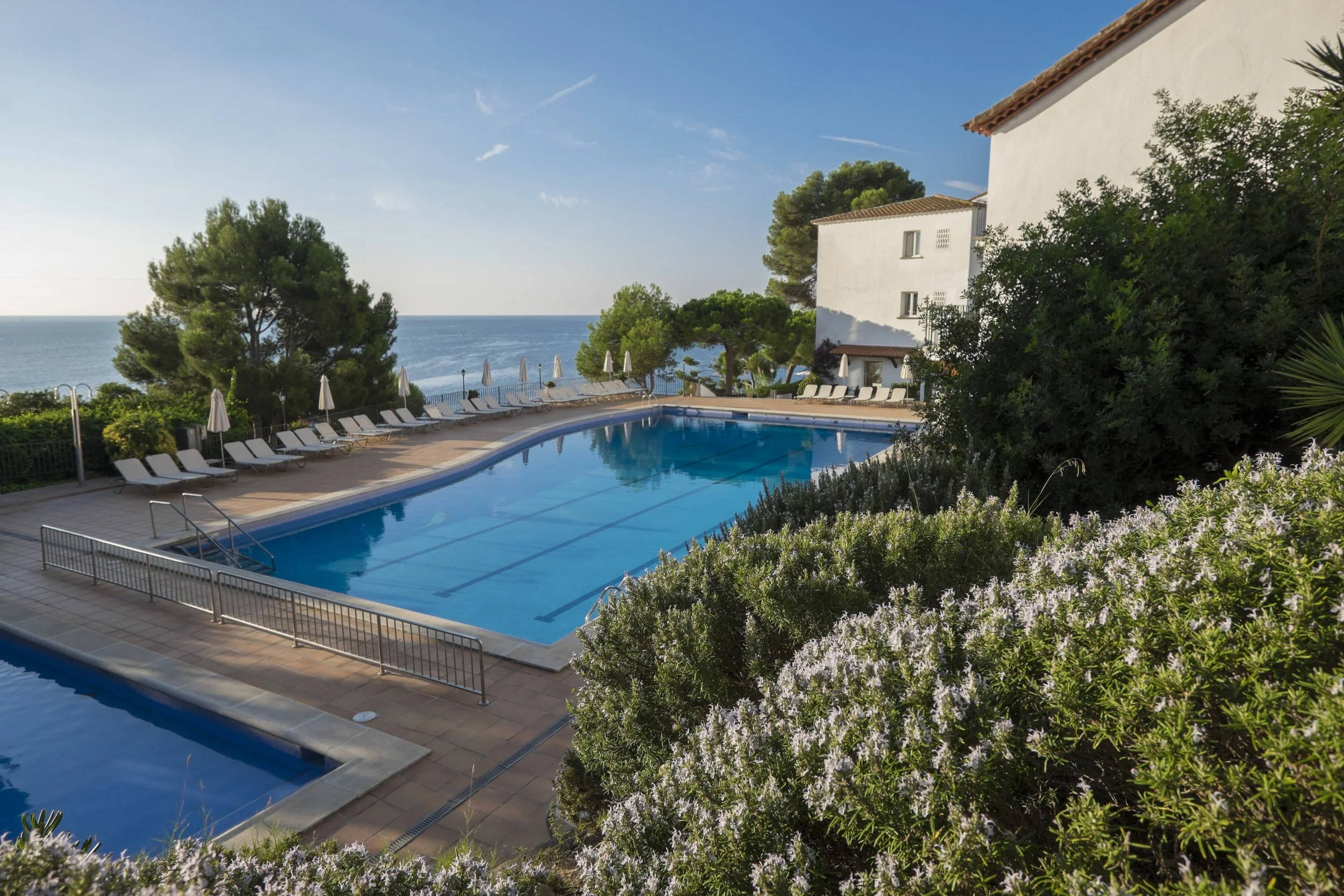 Swimming pool with lounge chairs and umbrellas overlooking the ocean, surrounded by trees and greenery on a sunny day.