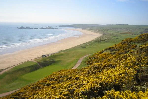 View of a sandy beach with waves, green grass, and yellow flowering bushes on a hillside, with a walking path and distant rocky outcrop in the ocean.