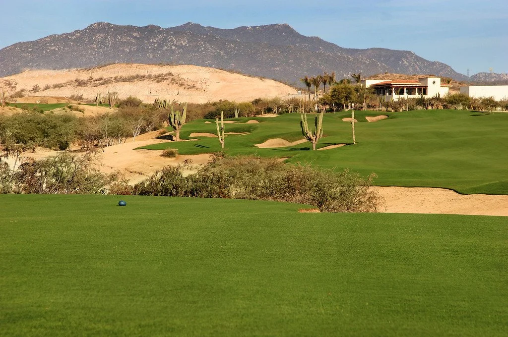 A golf course in a desert landscape with scrubby bushes, cacti, palm trees, green fairways, mountains in the background, and a building to the right.