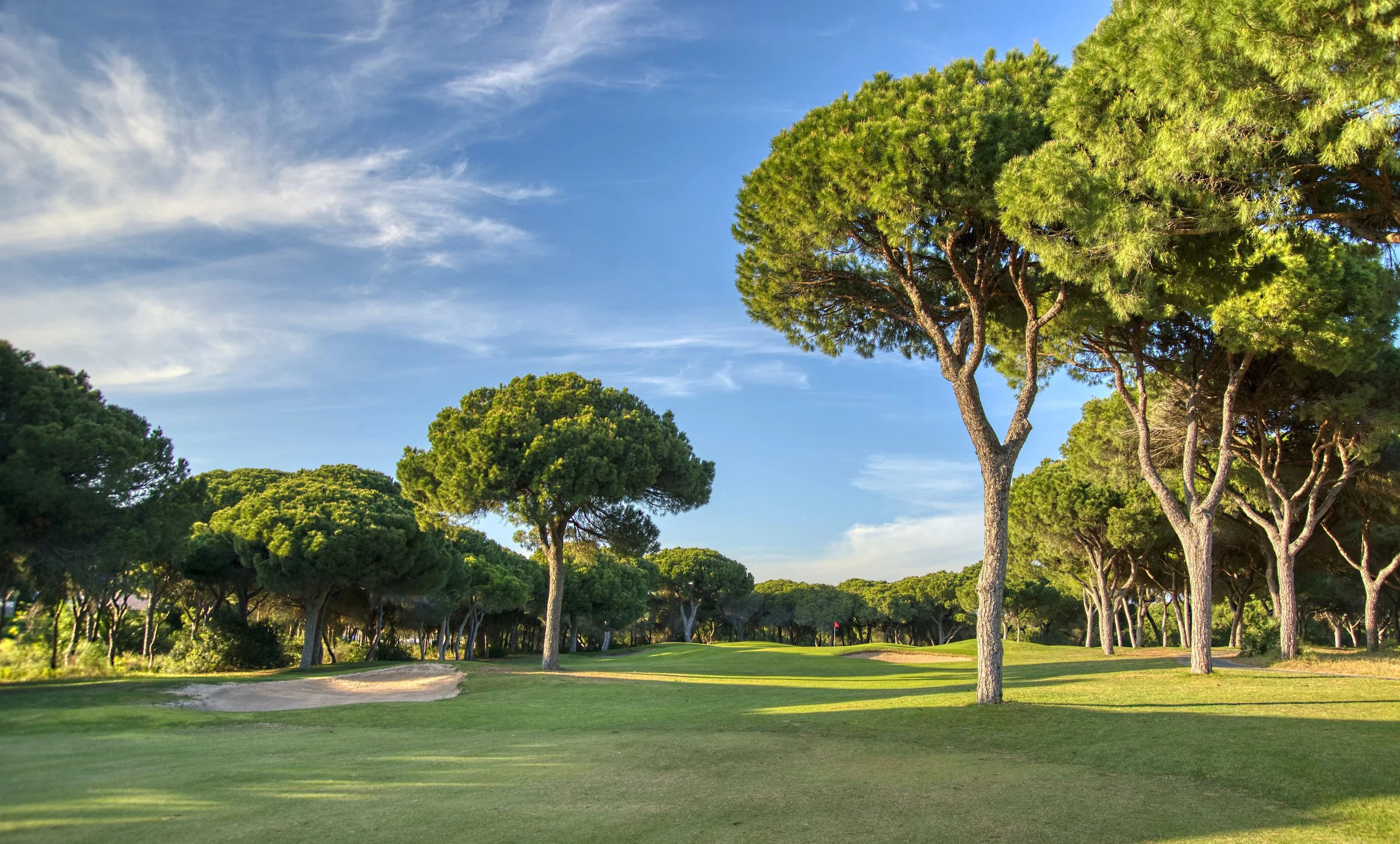 A golf course with green grass, sand trap, and tall pine trees under a blue sky with wispy clouds.