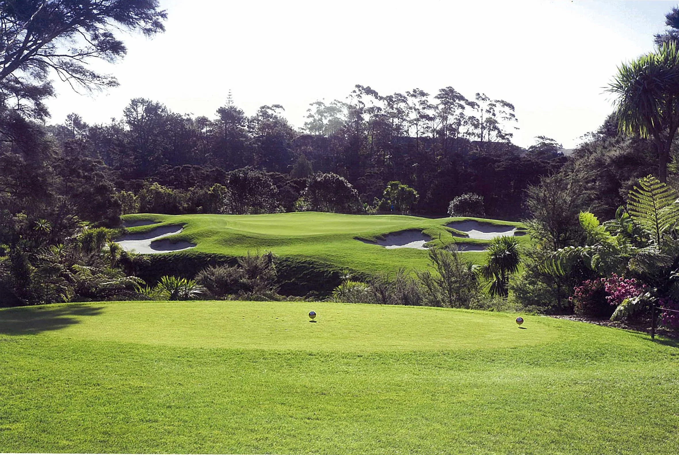 New Zealand golf Packages