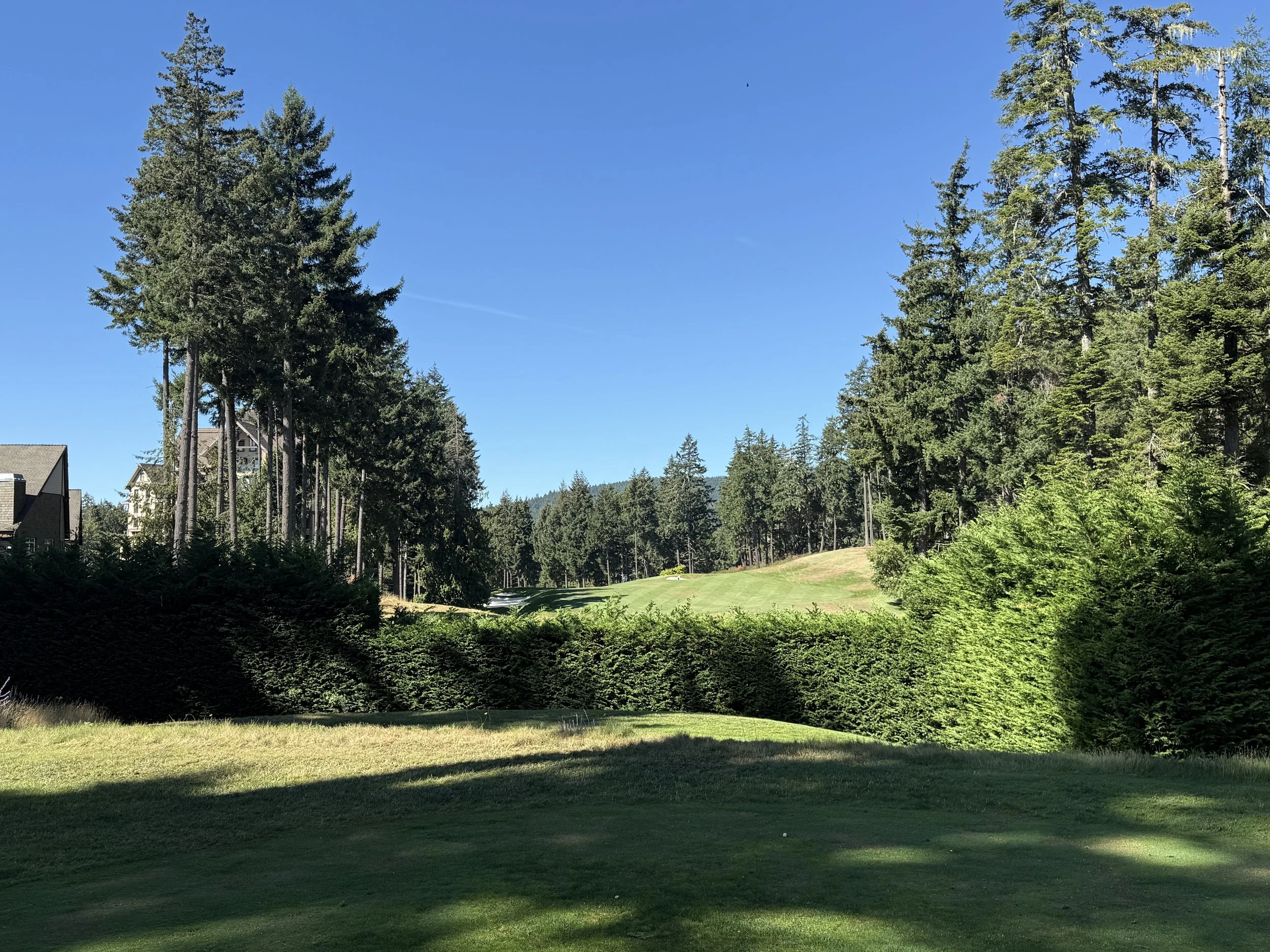 A detailed photograph taken from the elevated first tee box of the Mountain course at Bear Mountain Resort in Victoria ,BC. The structured stone tee box features a polished brass and wood plaque that reads: MOUNTAIN COURSE' BEAR MOUNTAIN RESORT'