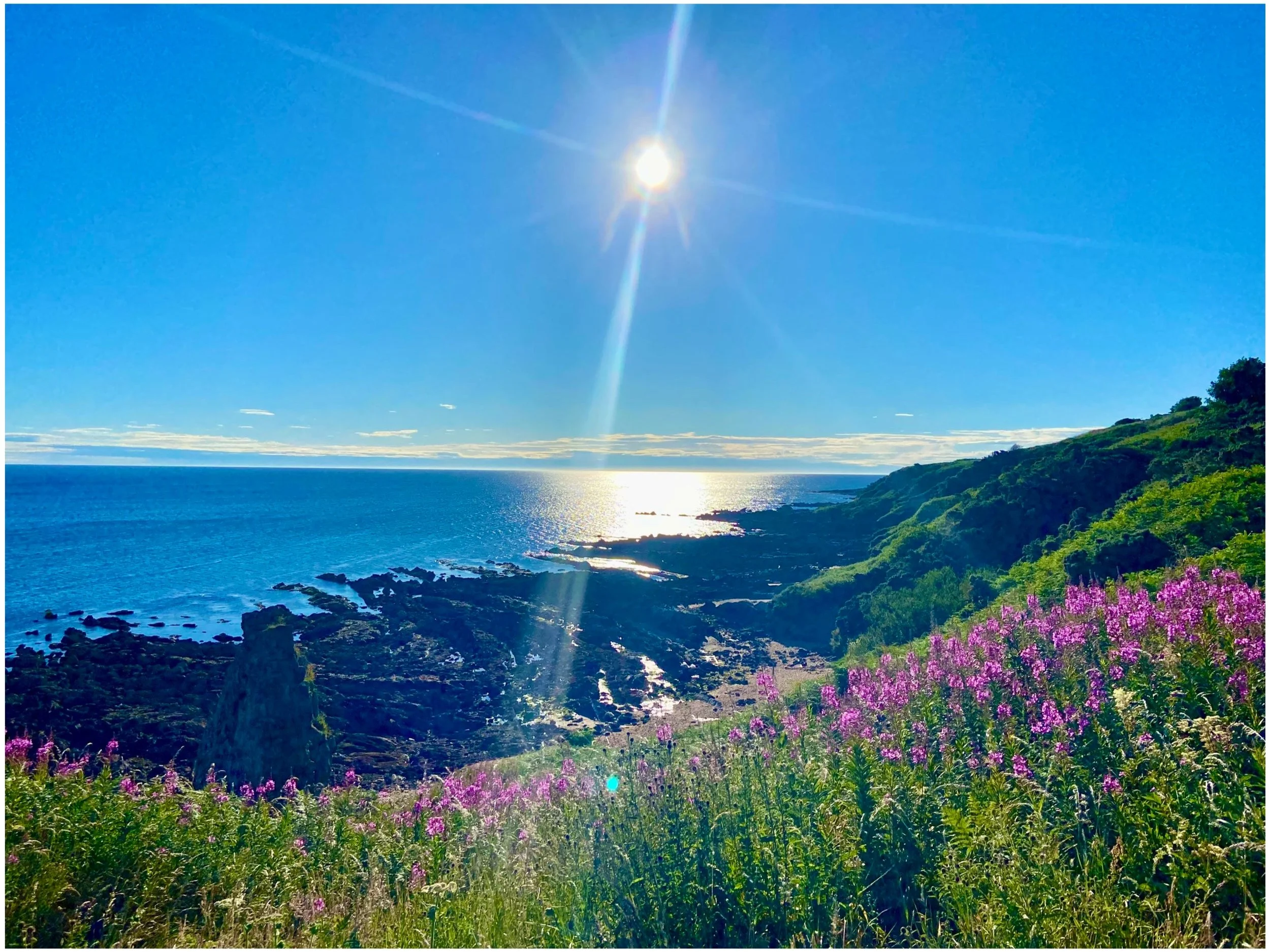 Scenic coastal landscape with sun shining over the ocean, rocky shoreline, green hills, and wildflowers.