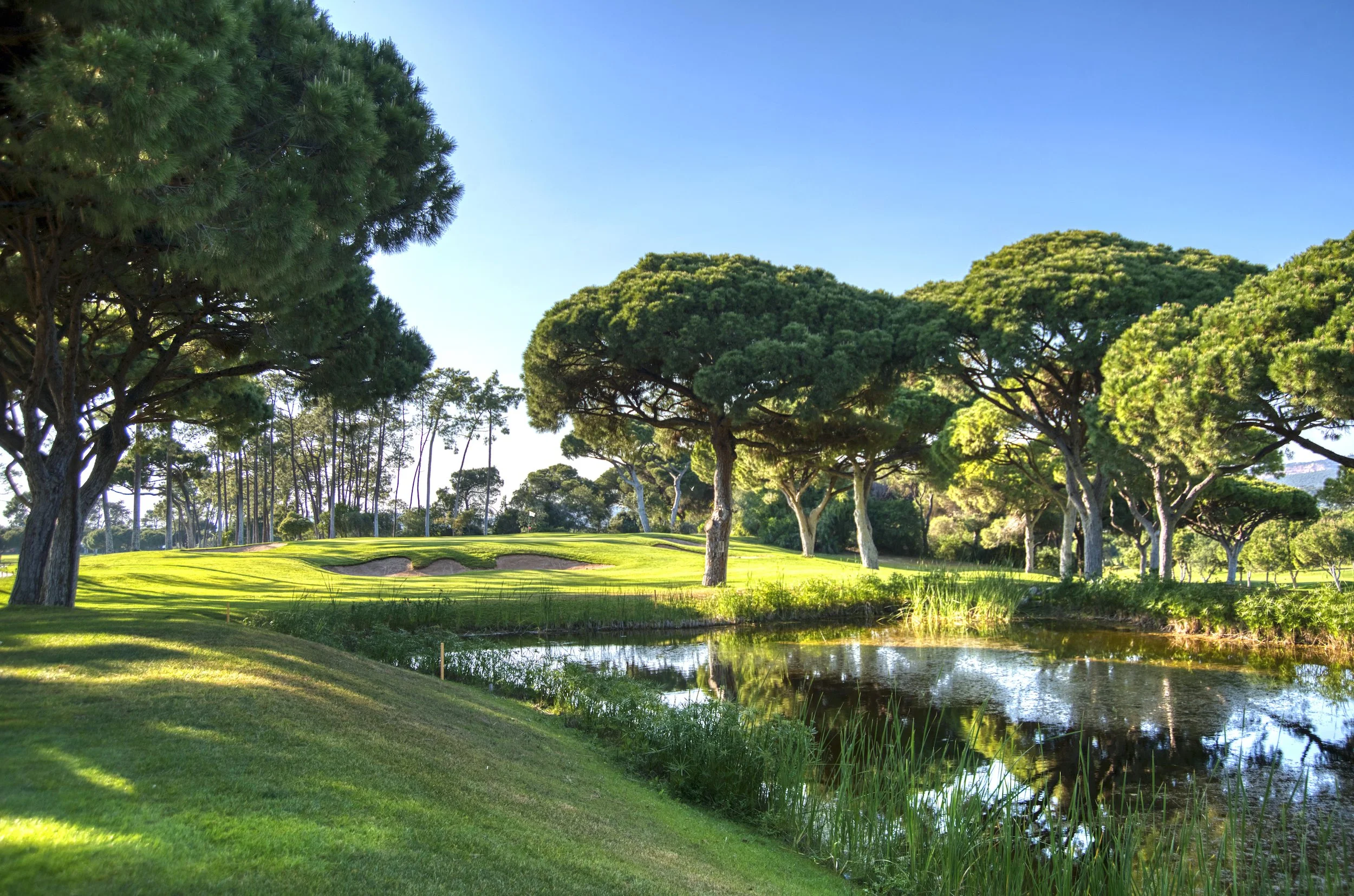 A lush, green golf course with tall trees and a small pond reflecting the trees, under a clear blue sky.