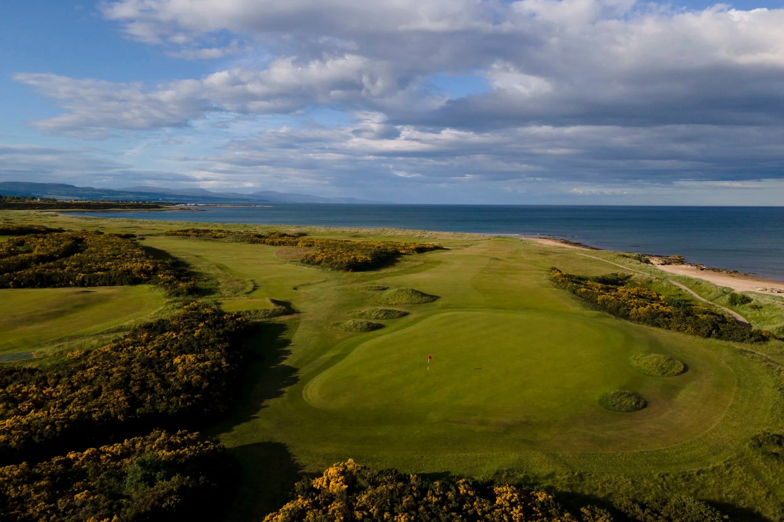 An elevated view of a green at Royal Dornoch Golf Club, framed by vibrant yellow gorse bushes and overlooking the Scottish coastline, a spectacular destination on our luxury escorted golf tours in Scotland.