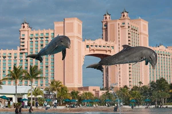 Two large flying whales model in front of a pink hotel with palm trees and a busy outdoor area.
