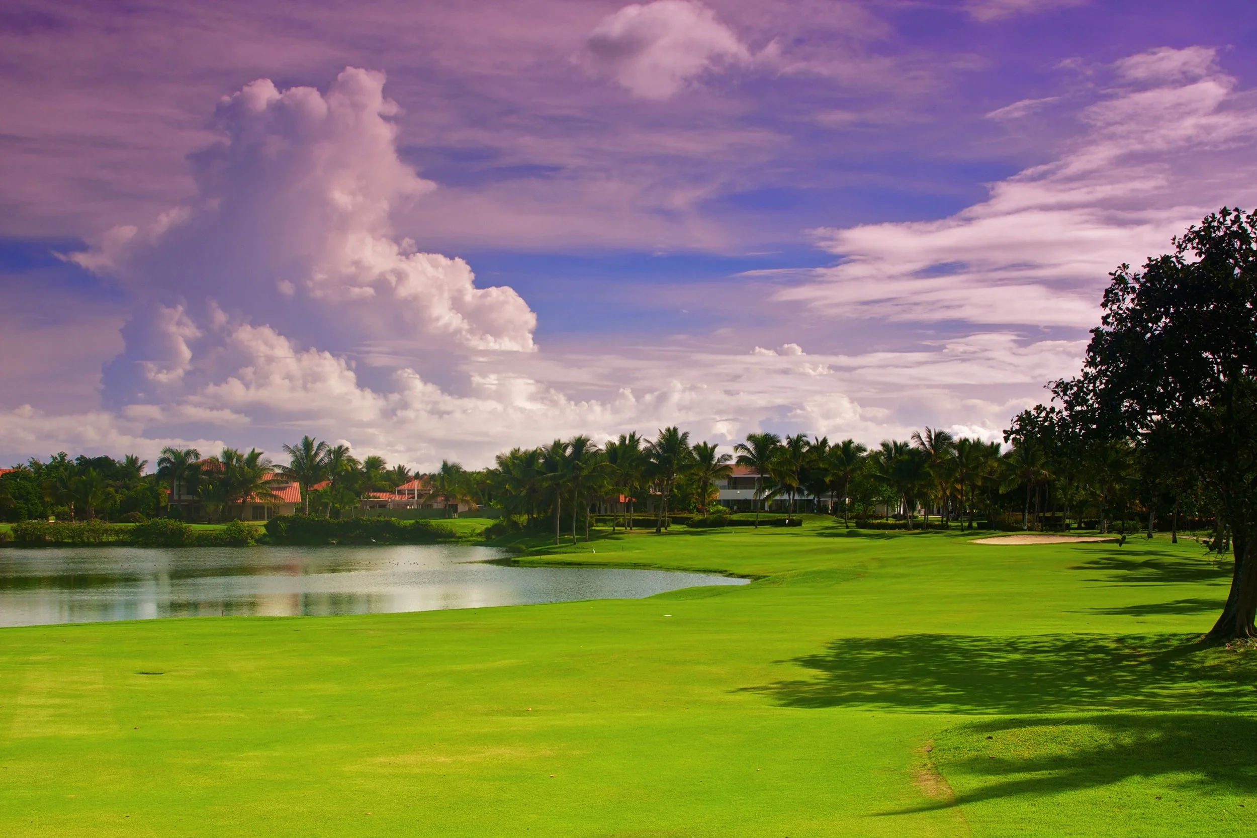 Scenic view of a golf course with lush green grass, a water hazard, and a line of palm trees under a partially cloudy purple sky.