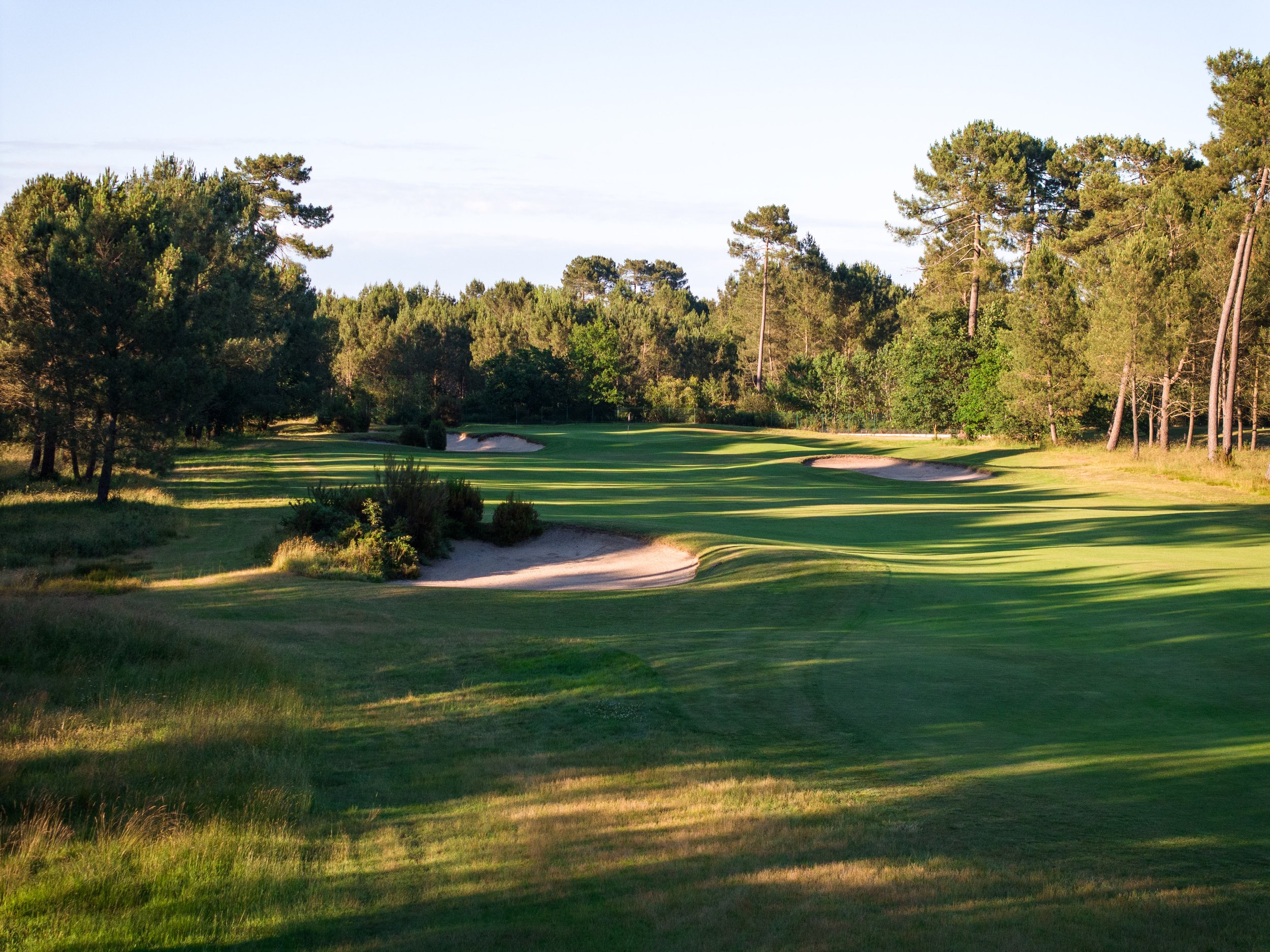 Vignes-course4024x3016.jpg