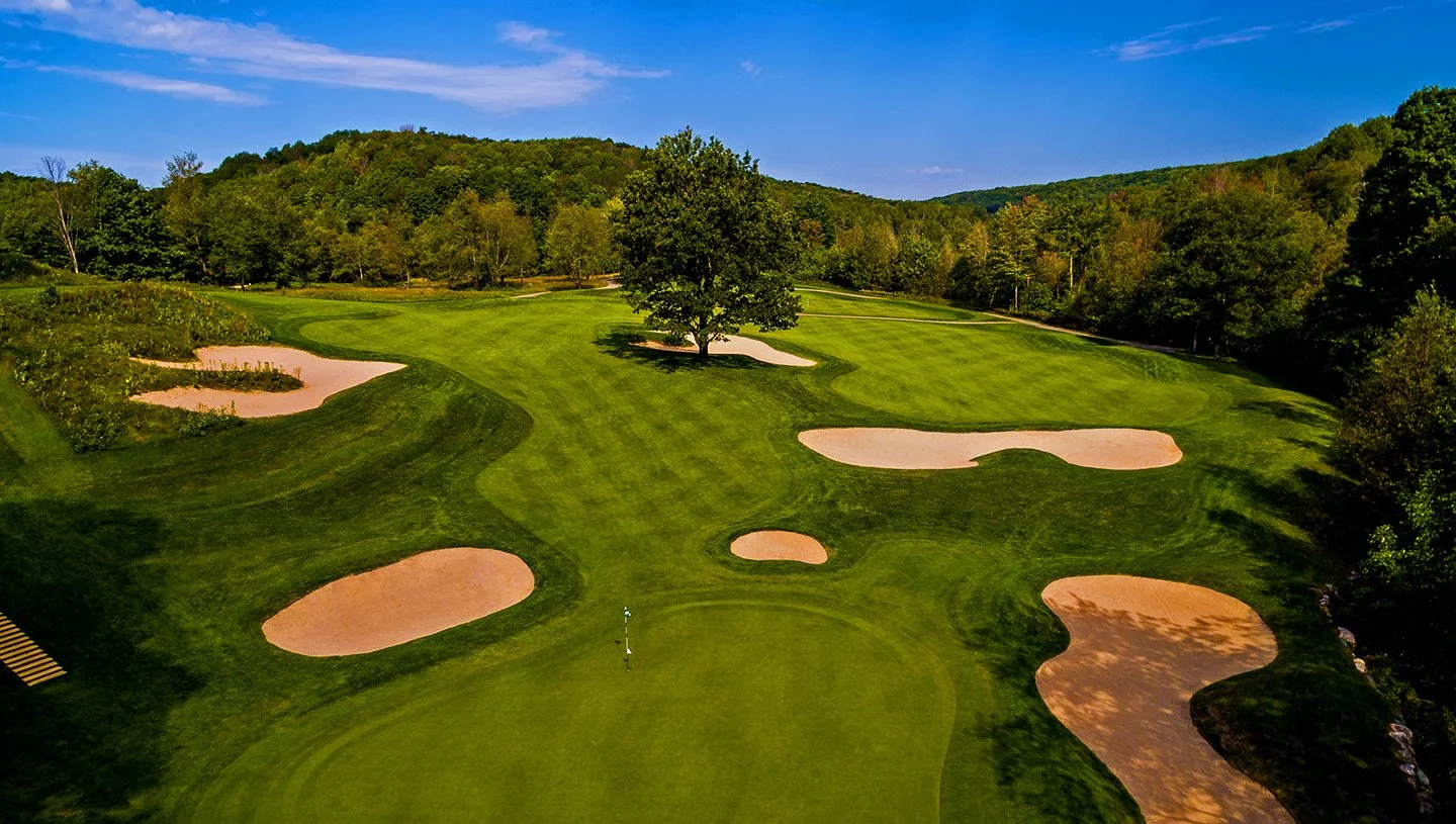 A golf course with a green putting area, multiple sand bunkers, a flag, and a central tree, surrounded by trees and hills under a blue sky.