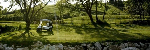 Golf course with a golf cart parked near trees, grassy hills in the background, and rocks along the water in the foreground.