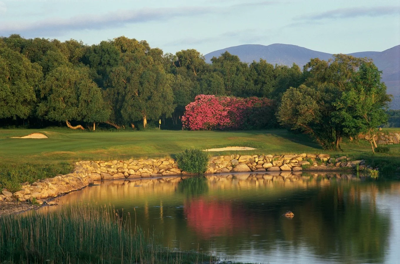 A scenic view of a golf course with a green, sand traps, trees, a pink flowering bush, a pond with rocks, and mountains in the background.