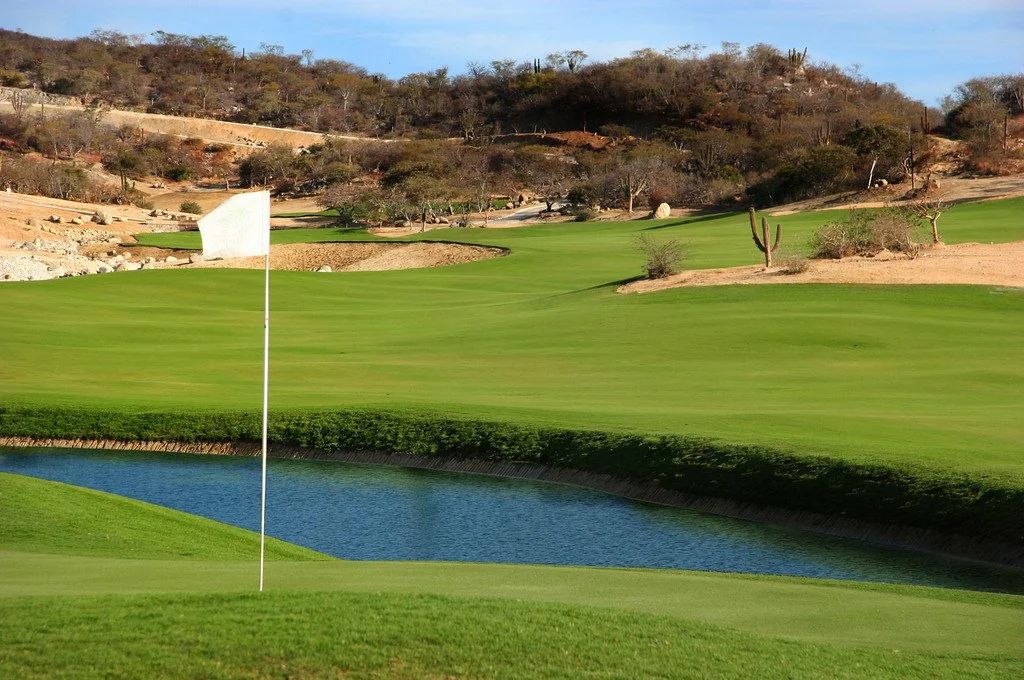 A golf course with a water hazard, green grass, a white flag, and desert shrubs and trees in the background.