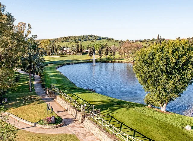A large pond with a fountain, surrounded by green grass, trees, and walking paths in a park.