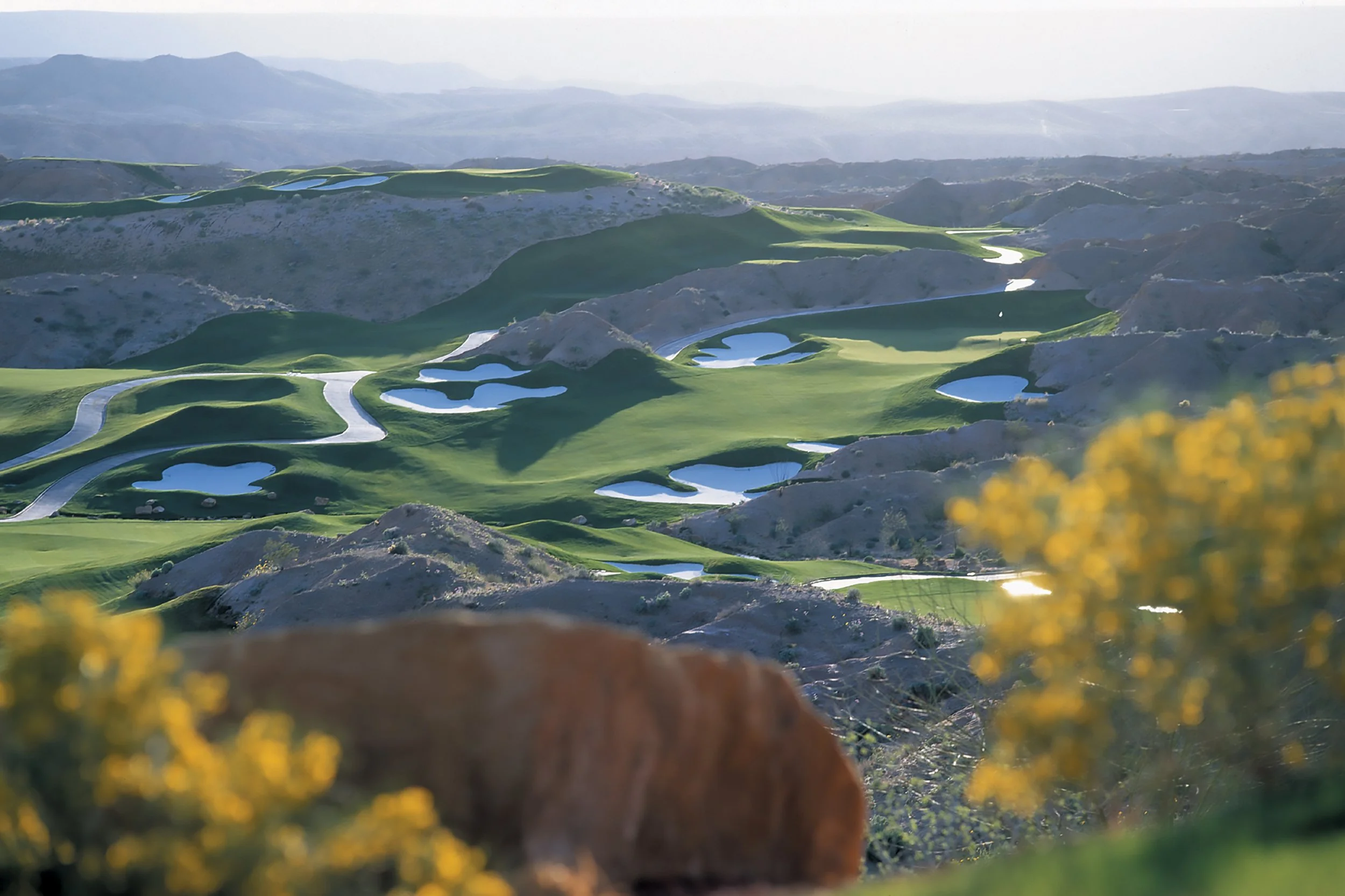 A vast golf course with rolling hills, multiple water hazards, and winding cart paths, set in a mountainous landscape with distant mountains and some yellow flowers in the foreground.