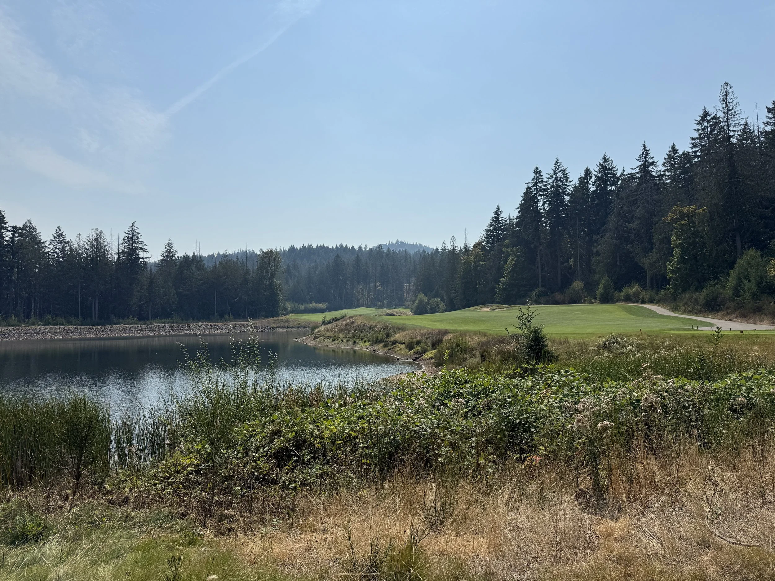 "A scenic view of The Valley Course at Bear Mountain, featuring a tranquil lake on the left that borders a bright green fairway, surrounded by dense evergreen forests under a clear blue sky."