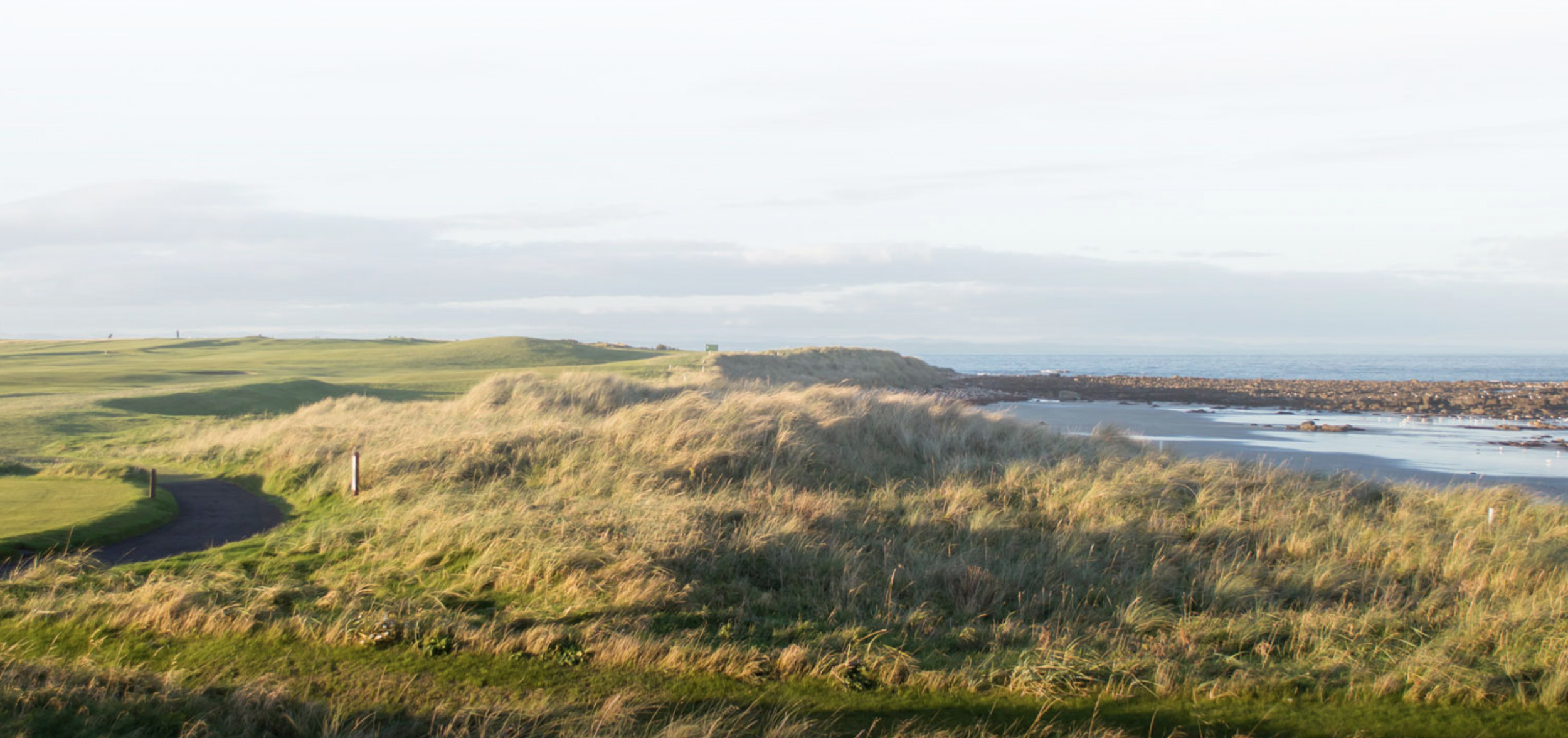 Coastal landscape with grassy dunes, a winding paved path, and a sandy beach near the ocean under a cloudy sky.