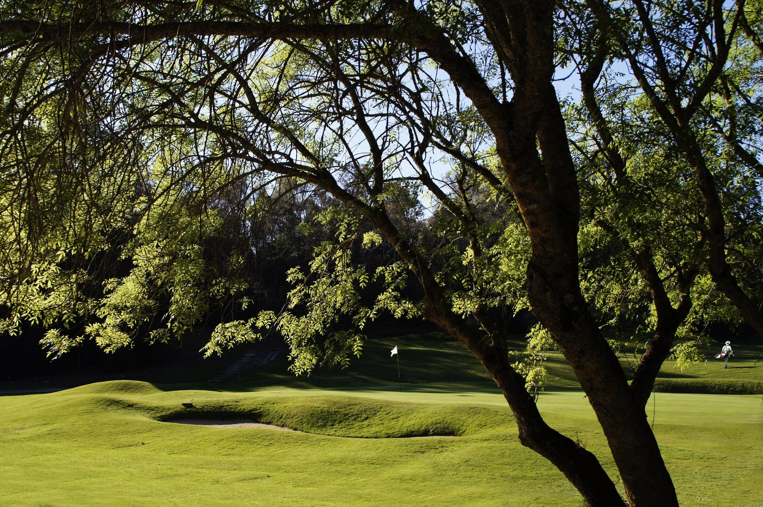 A golf course featuring a green with a white flag. Several trees and a person in golf attire holding a golf bag are visible in the background. The image is viewed through tree branches and leaves.