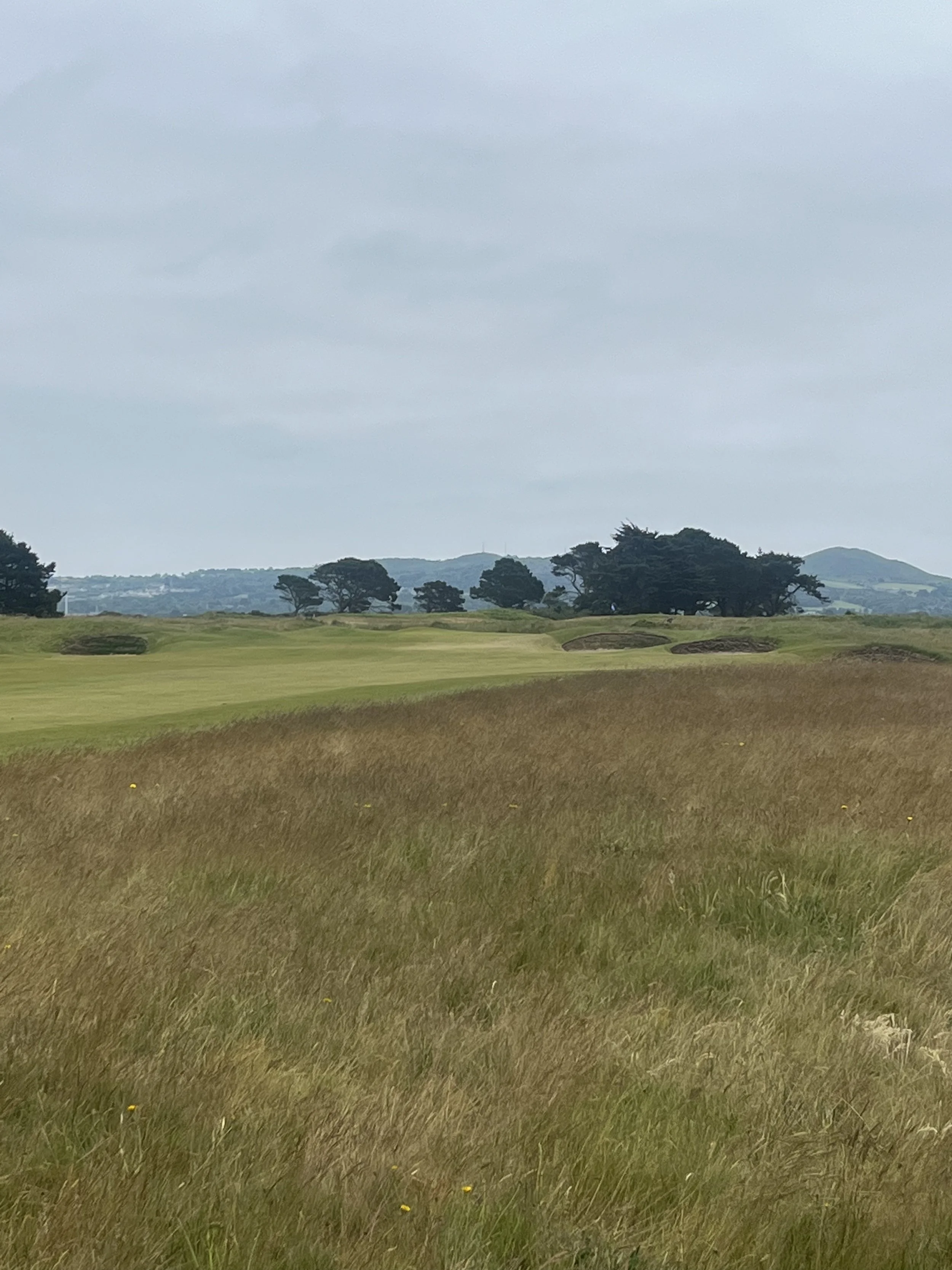 A scenic view of a golf course with green grass, trees in the distance, and a cloudy sky.